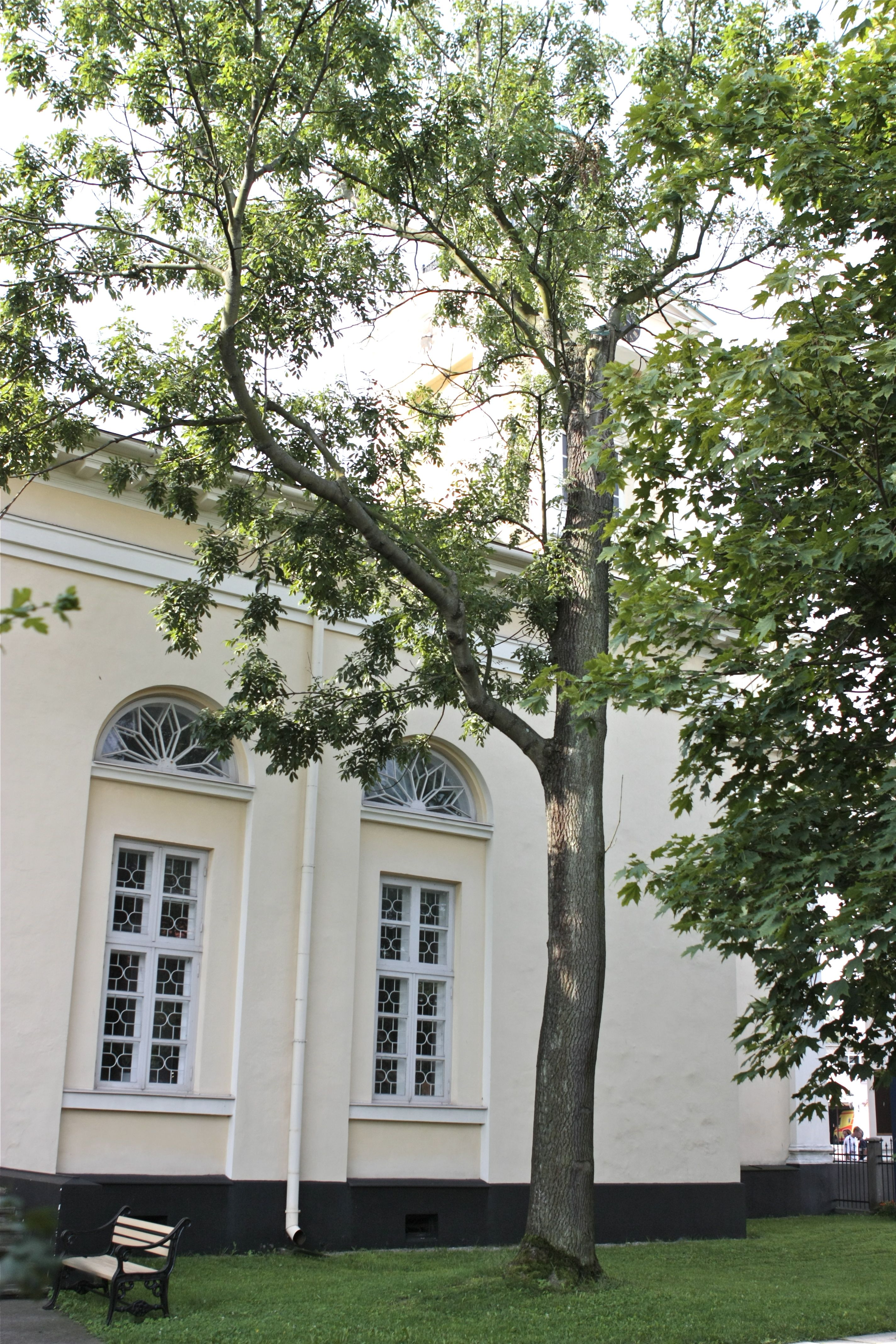 Apkārtnes foto