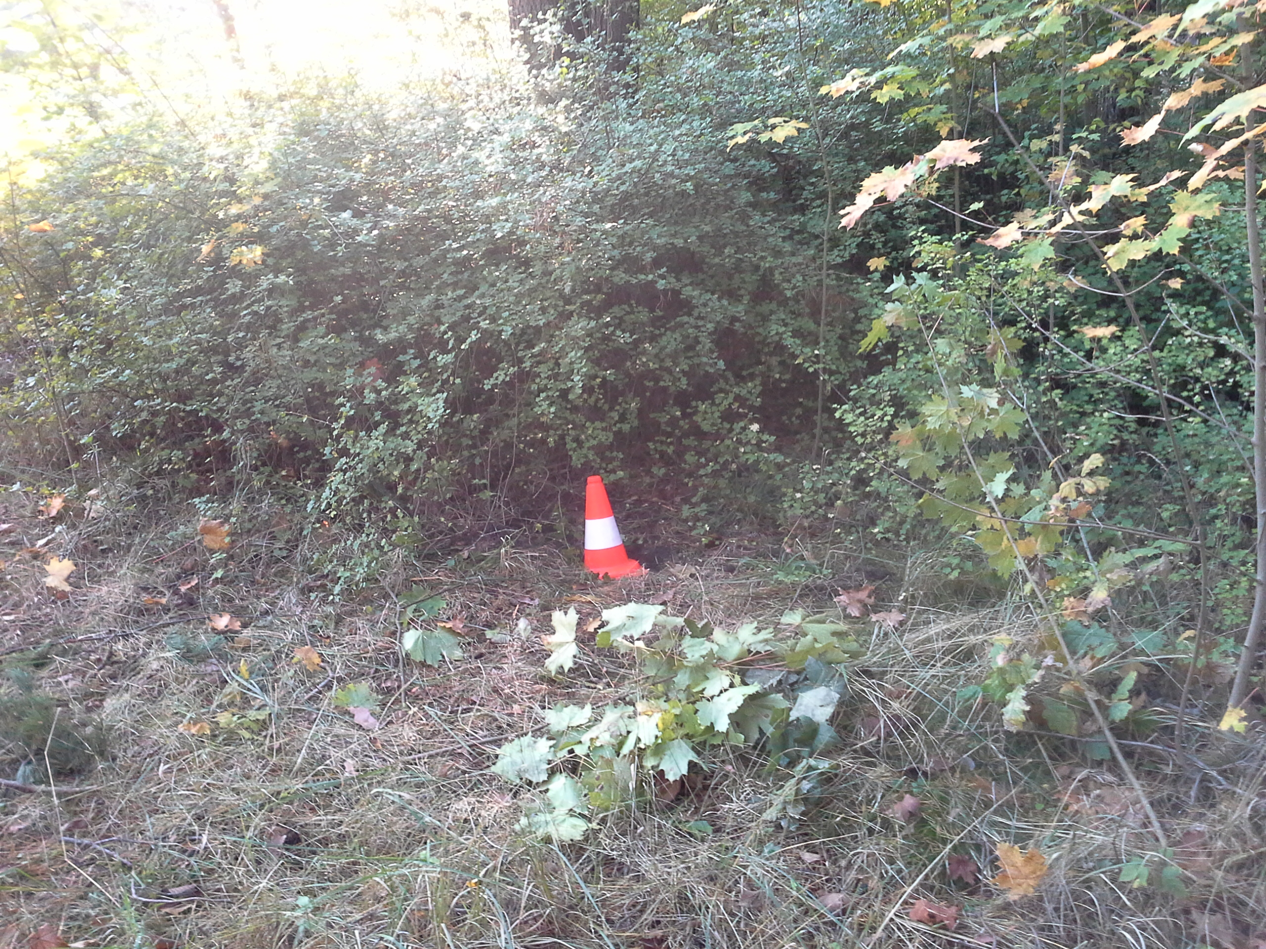 Apkārtnes foto