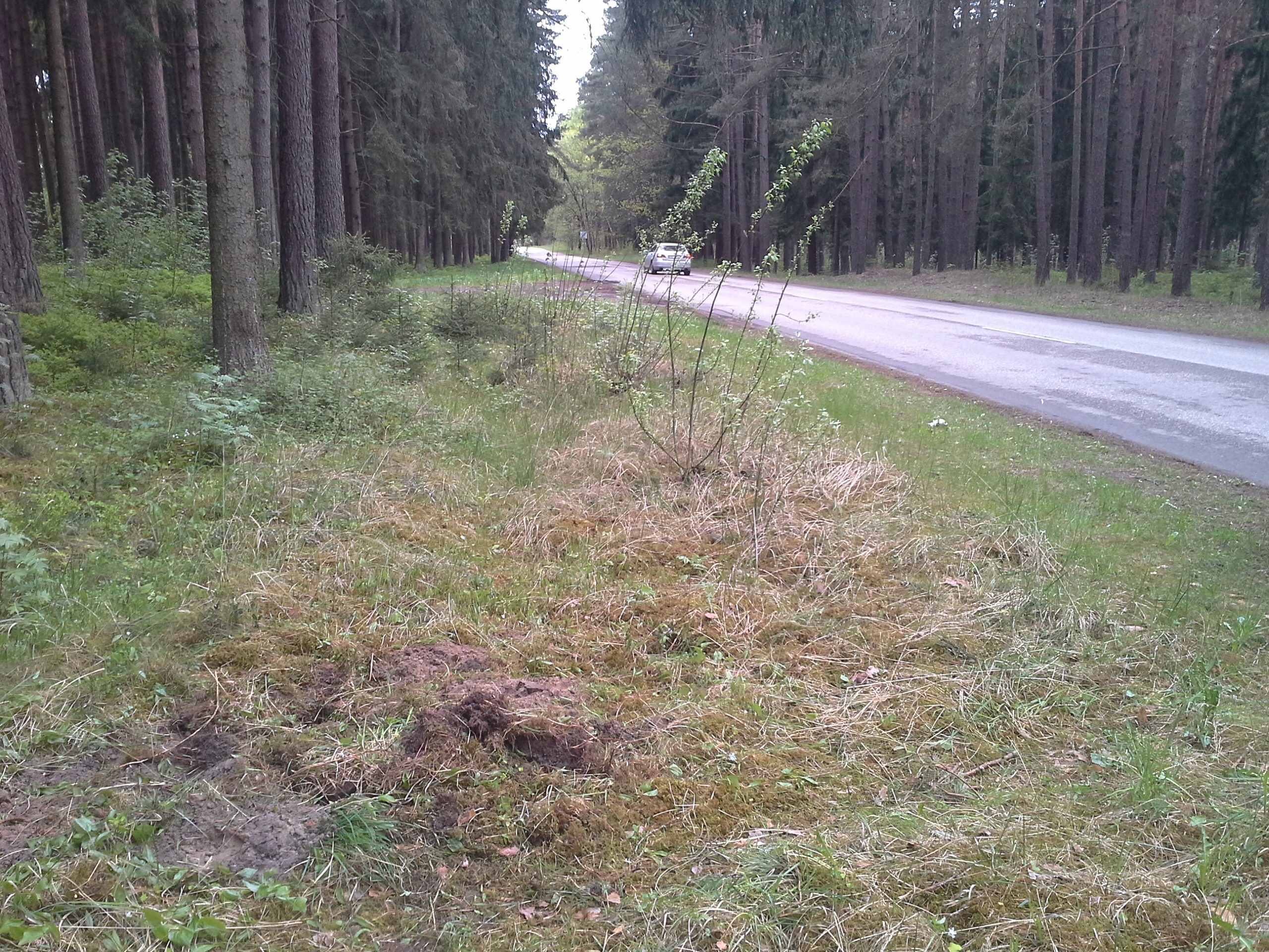 Apkārtnes foto