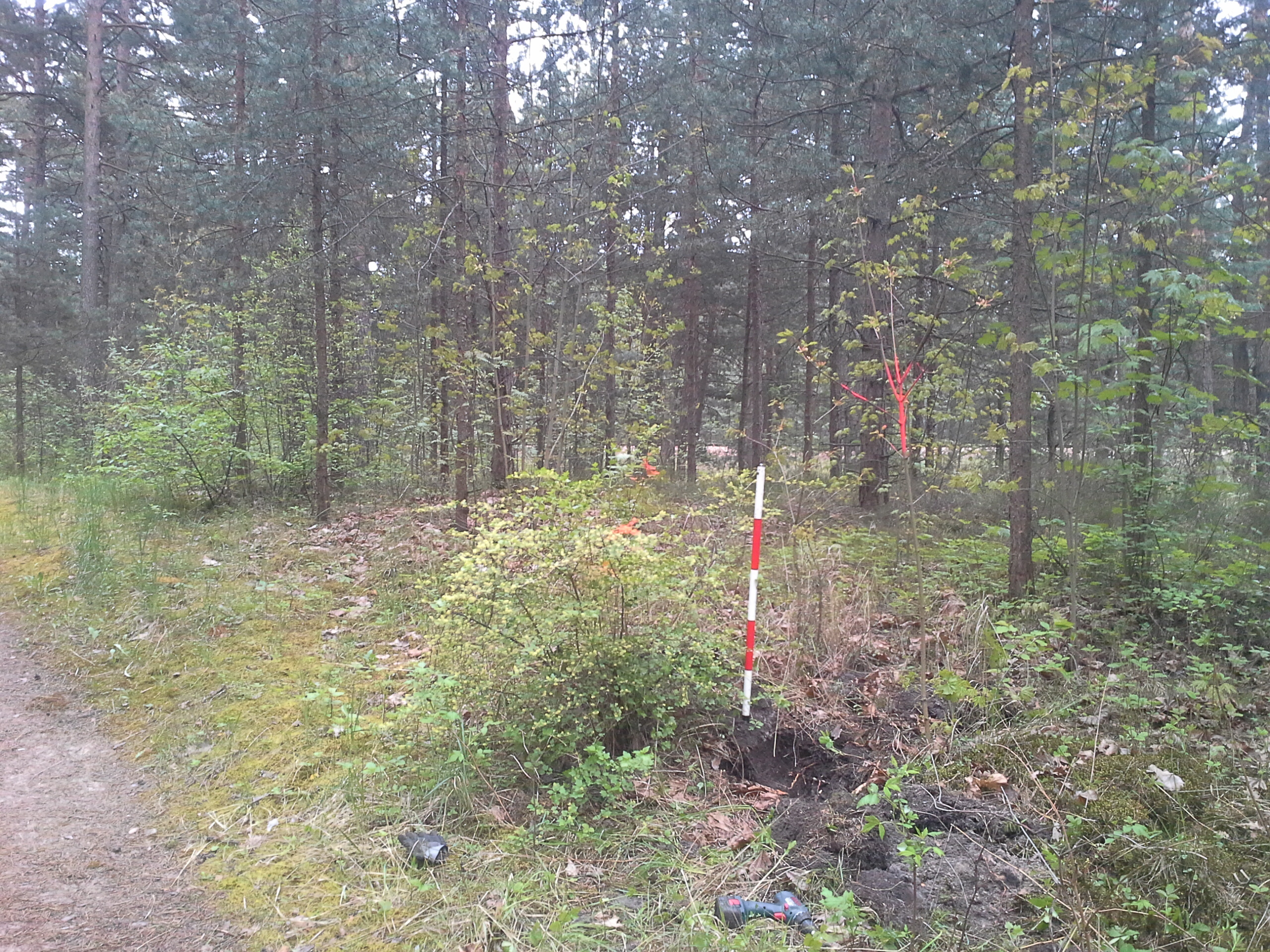 Apkārtnes foto
