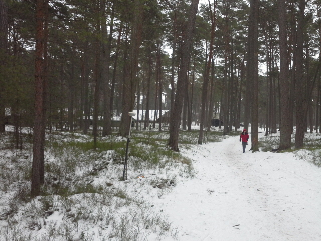 Apkārtnes foto