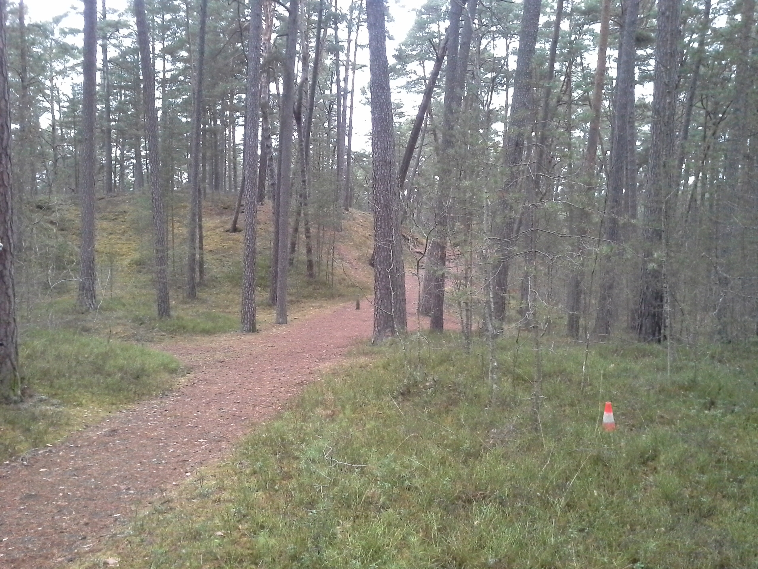 Apkārtnes foto