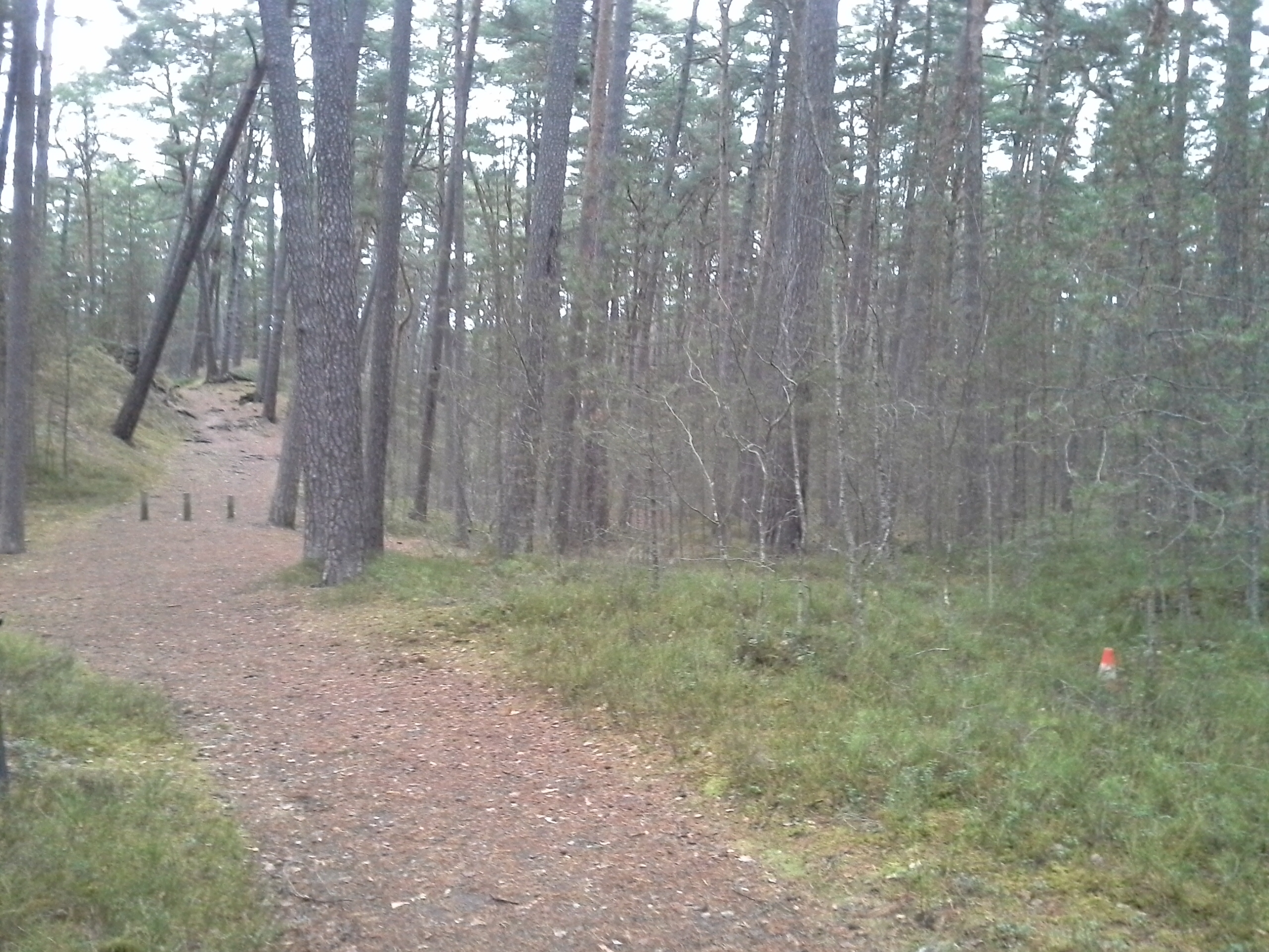 Apkārtnes foto