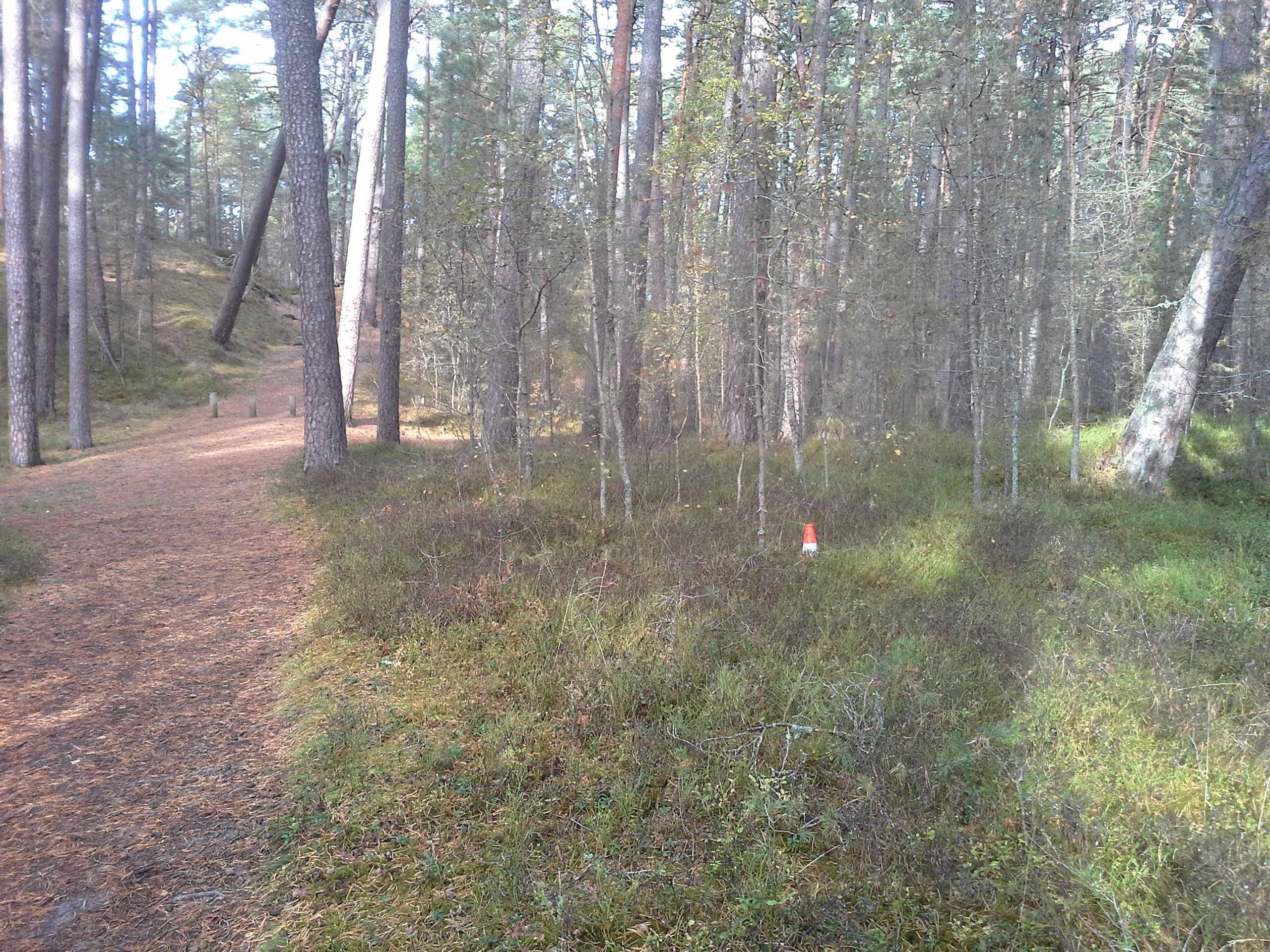 Apkārtnes foto