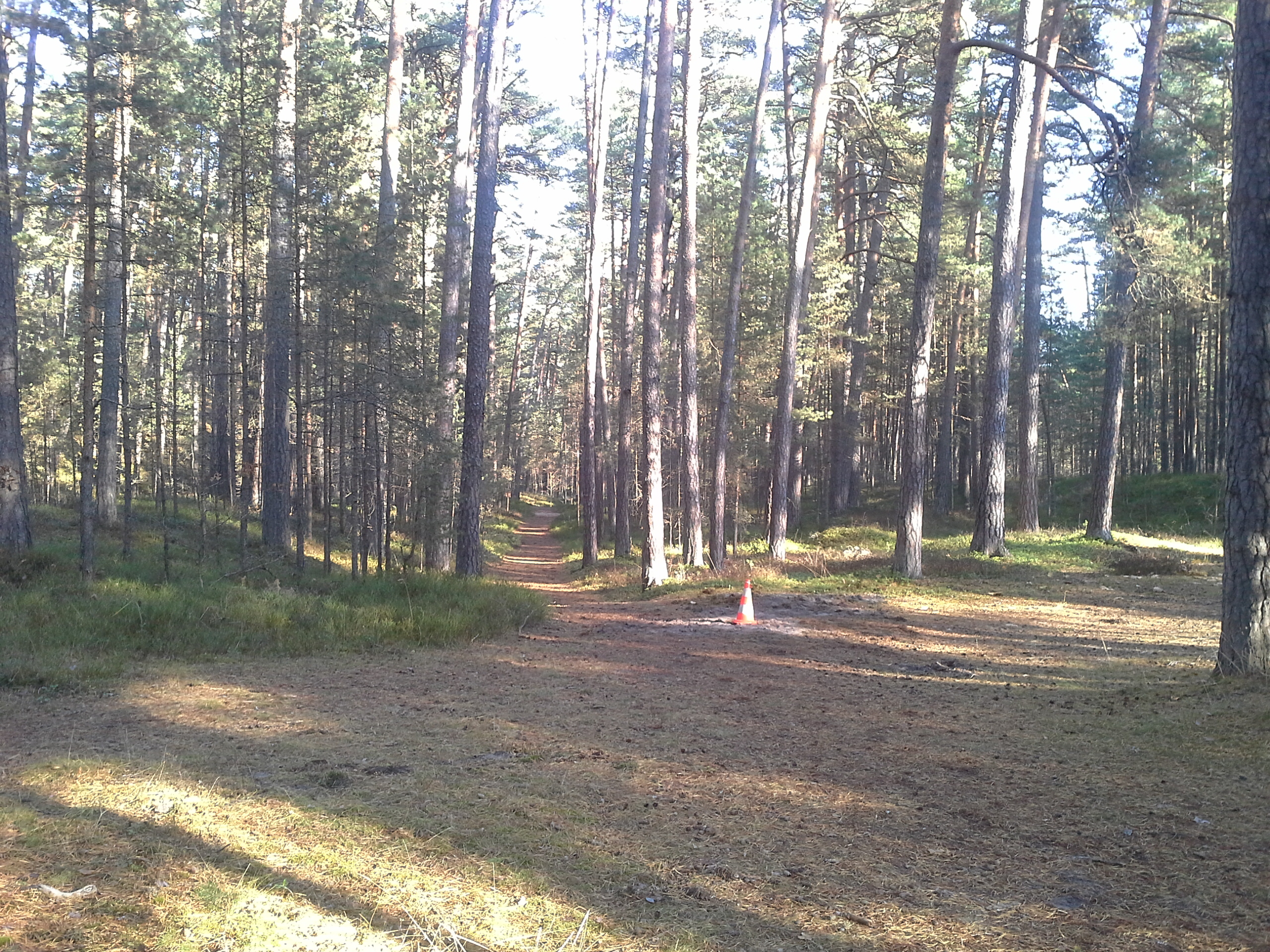 Apkārtnes foto