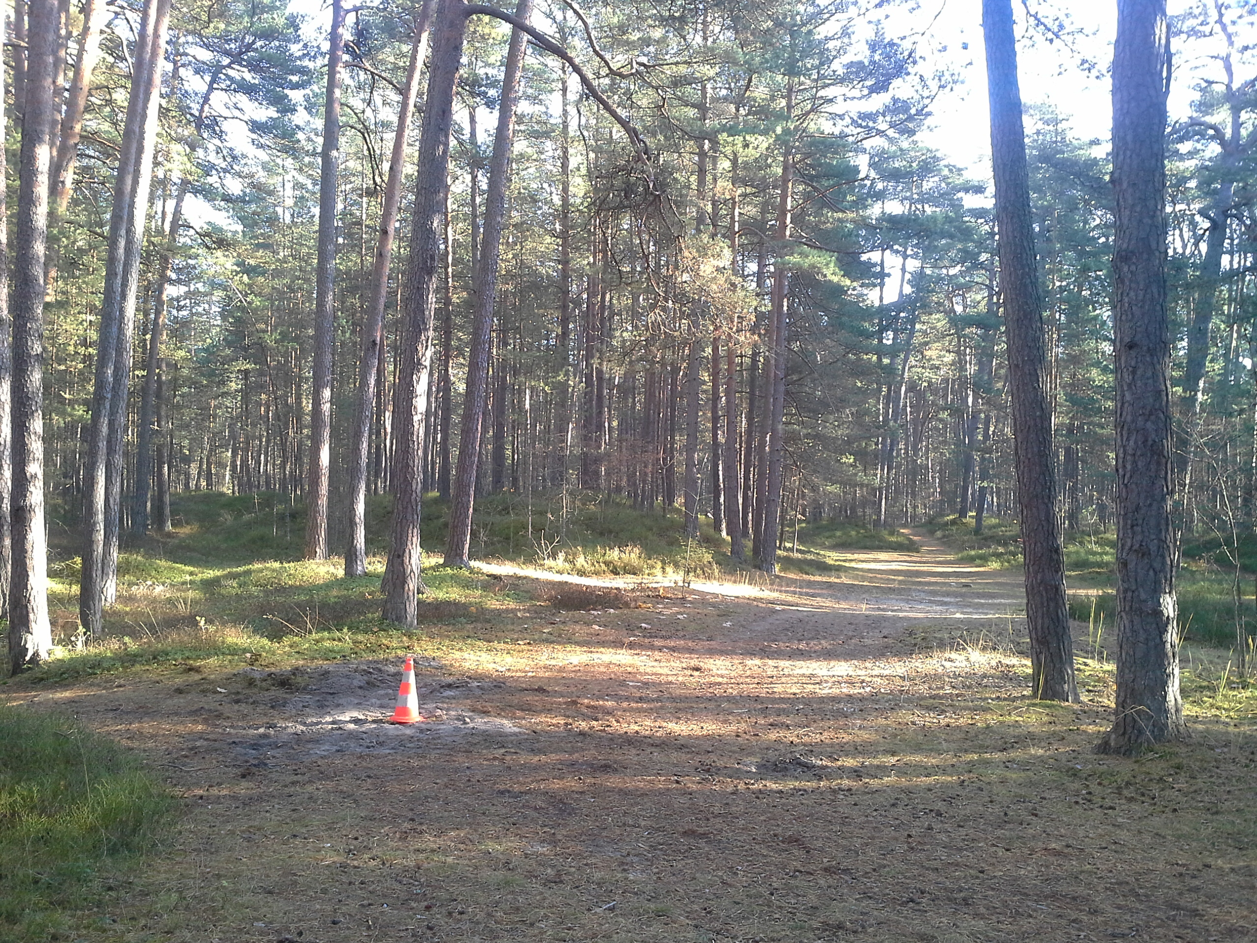 Apkārtnes foto