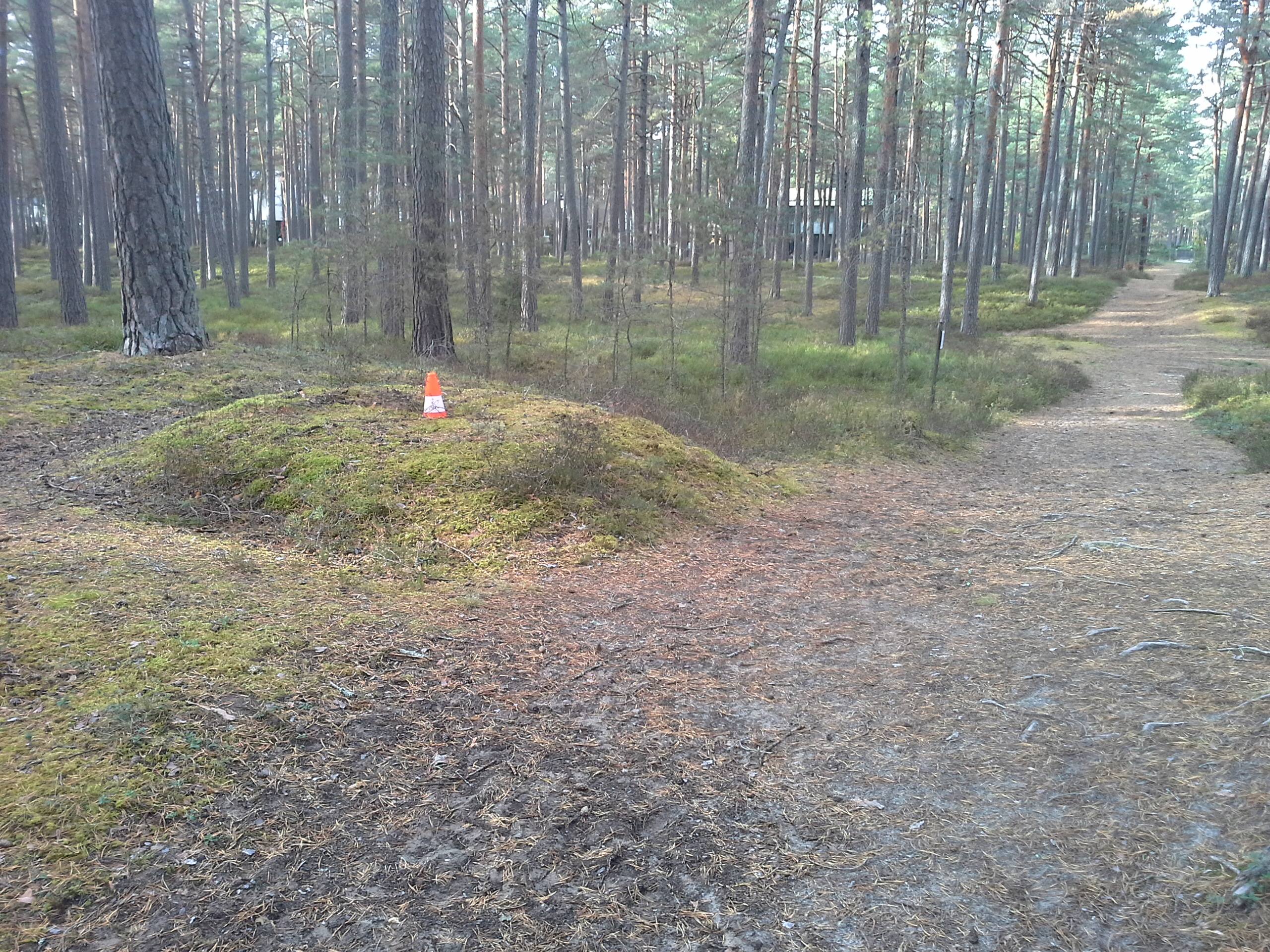 Apkārtnes foto