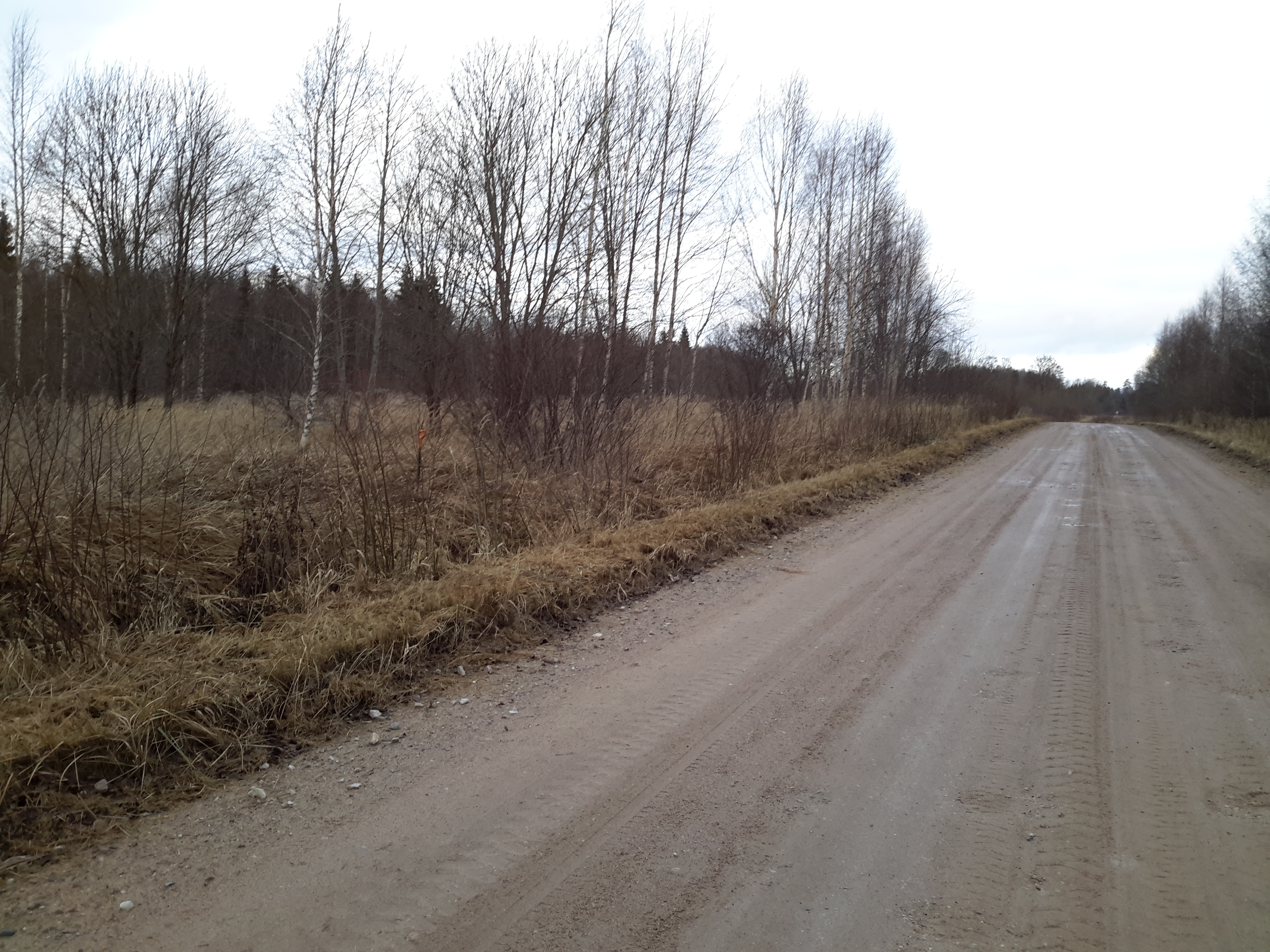 Apkārtnes foto