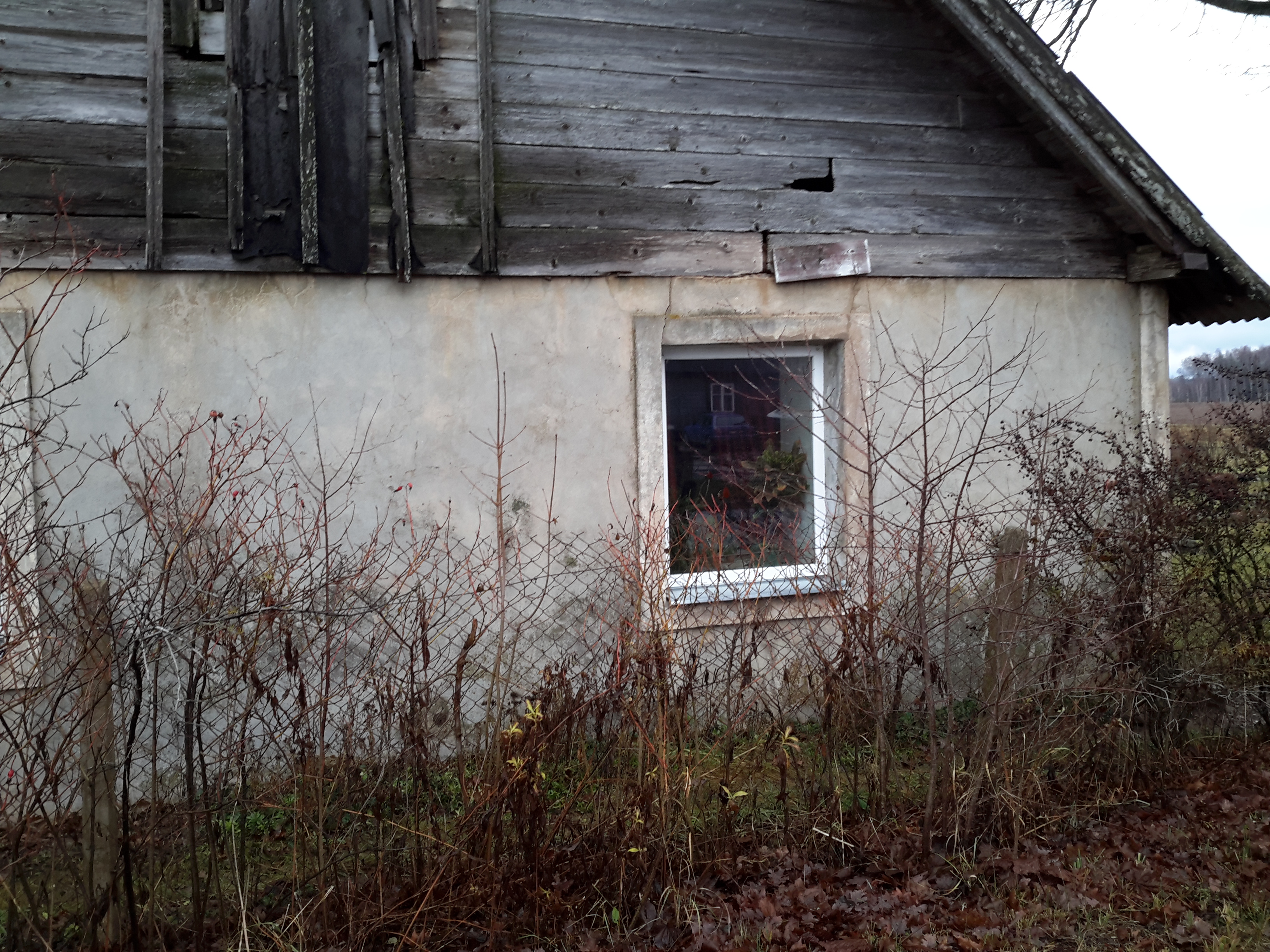 Apkārtnes foto