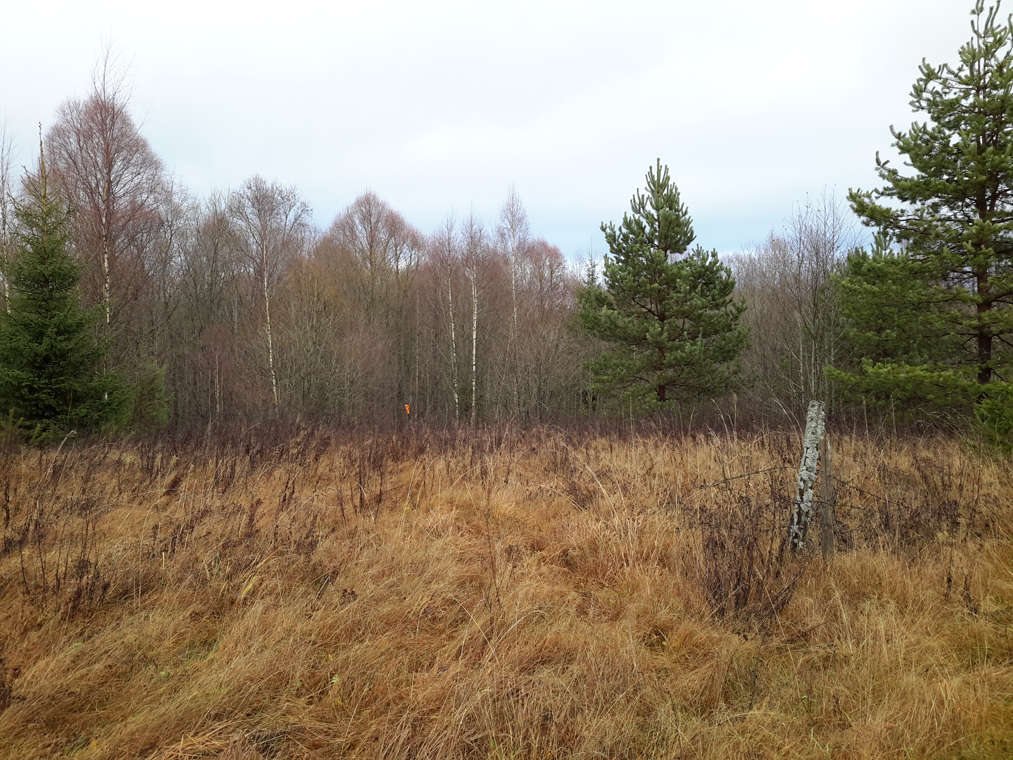 Apkārtnes foto