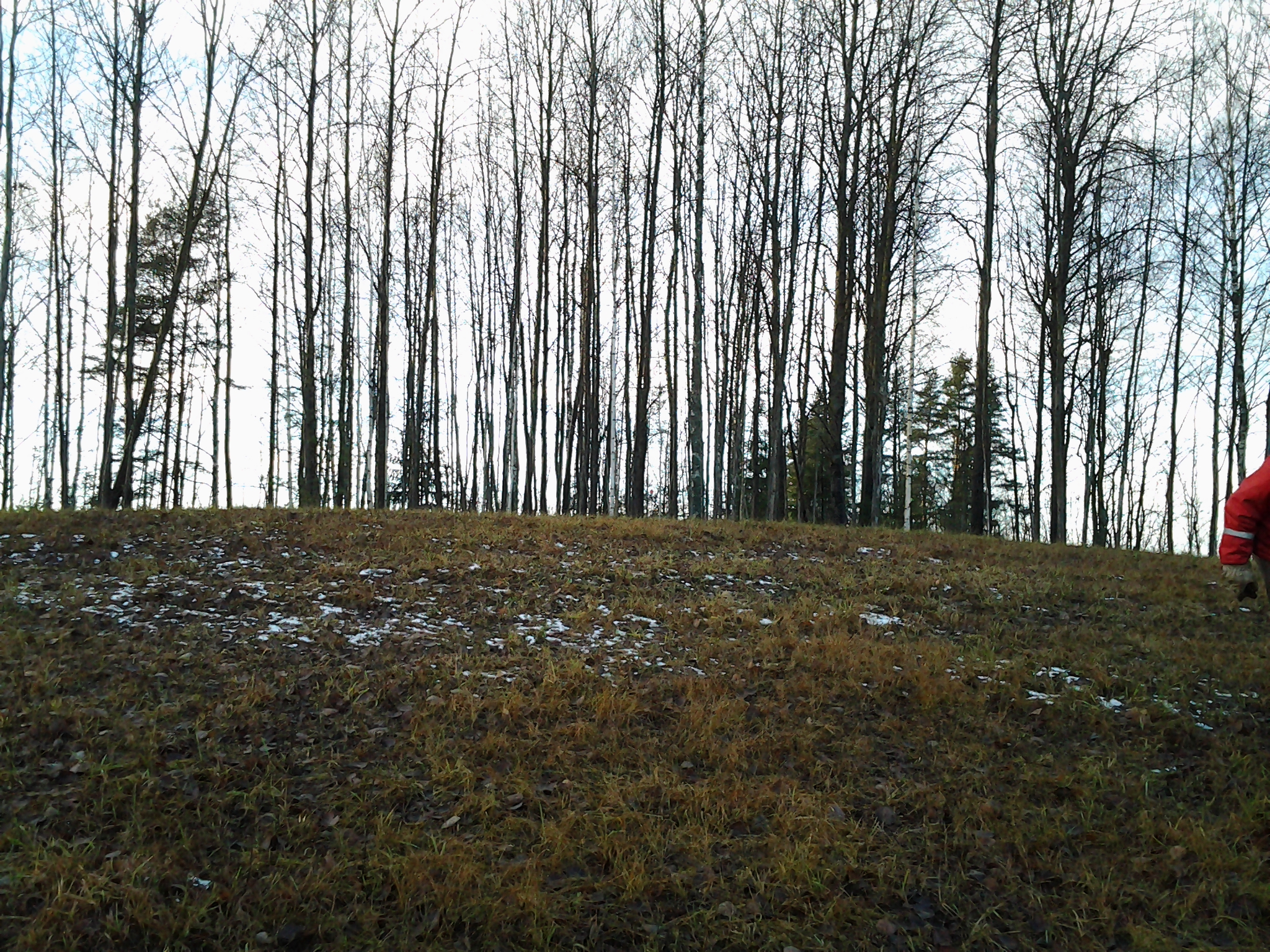 Apkārtnes foto