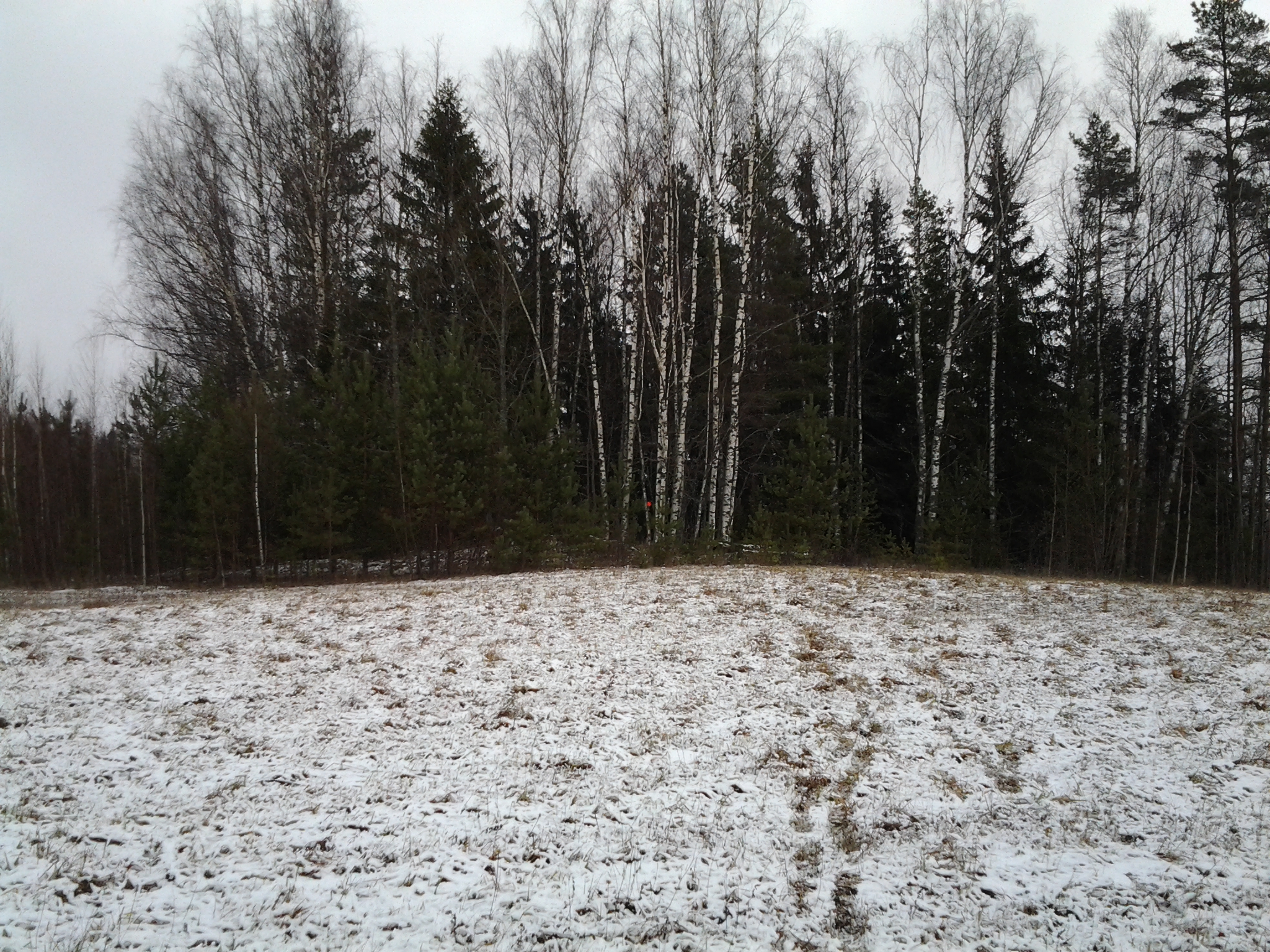 Apkārtnes foto