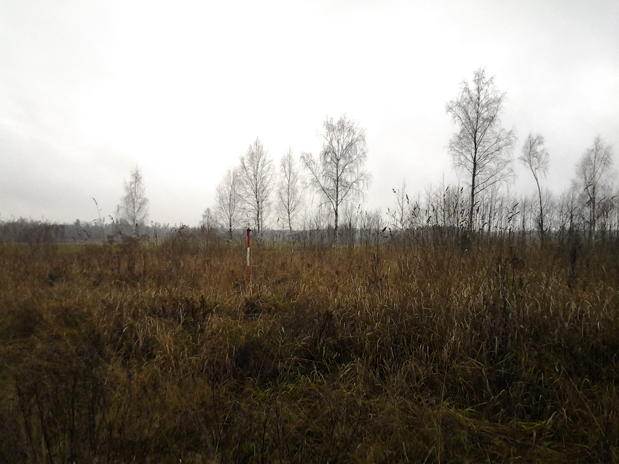 Apkārtnes foto