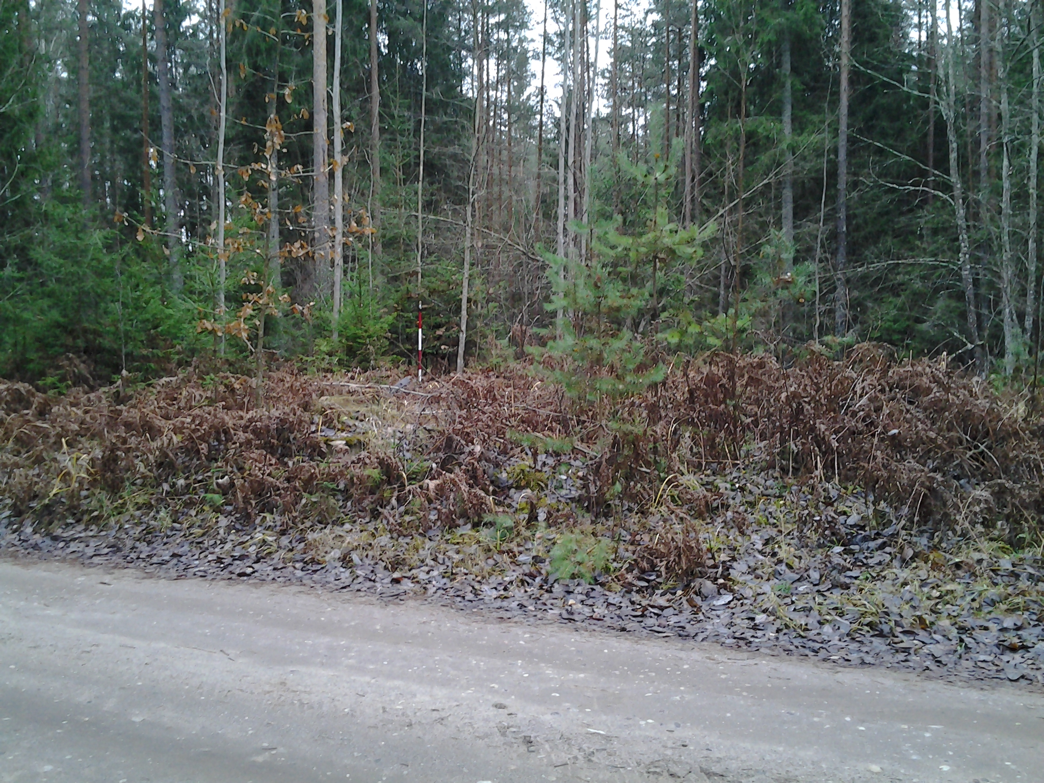 Apkārtnes foto