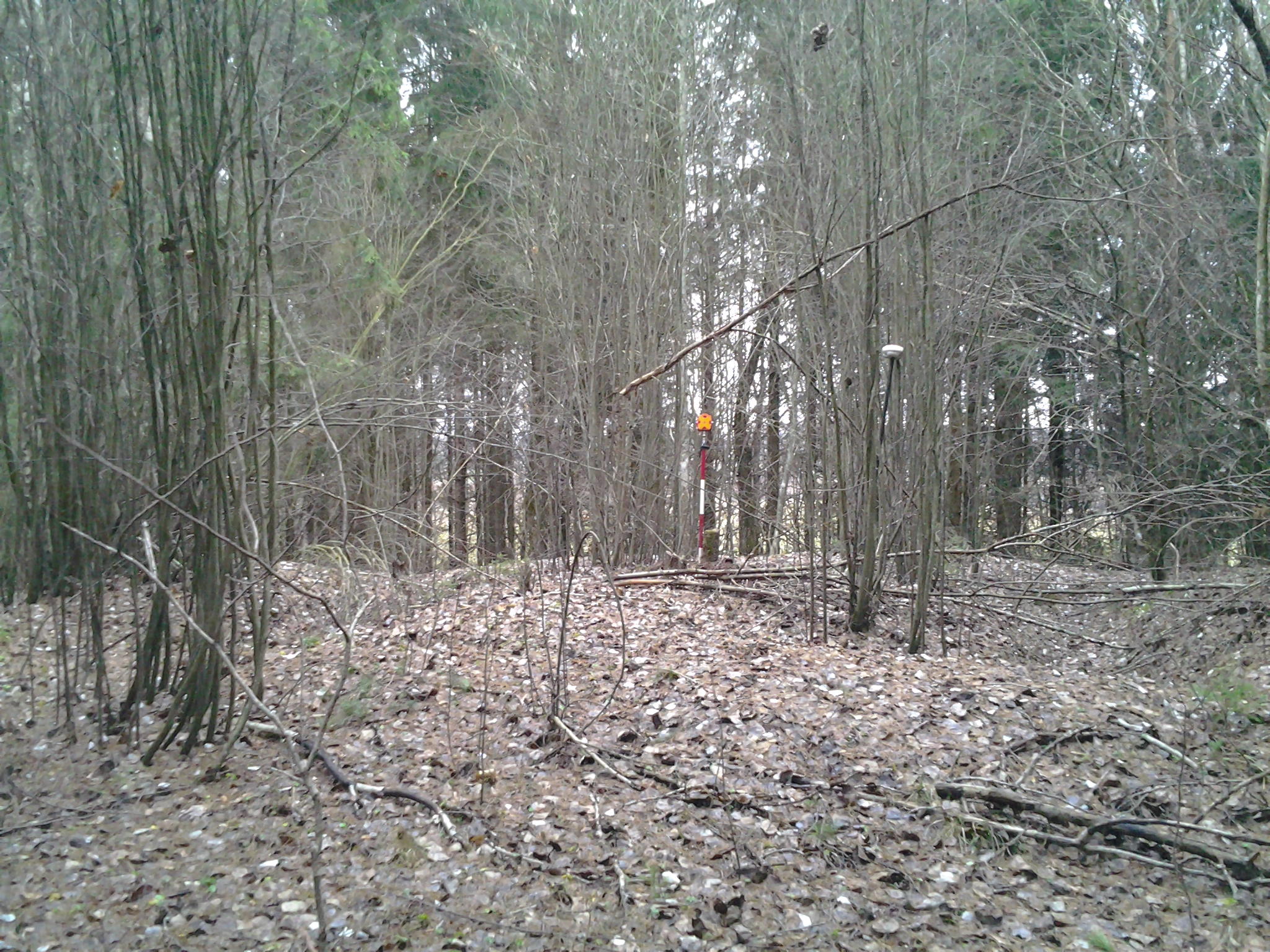 Apkārtnes foto