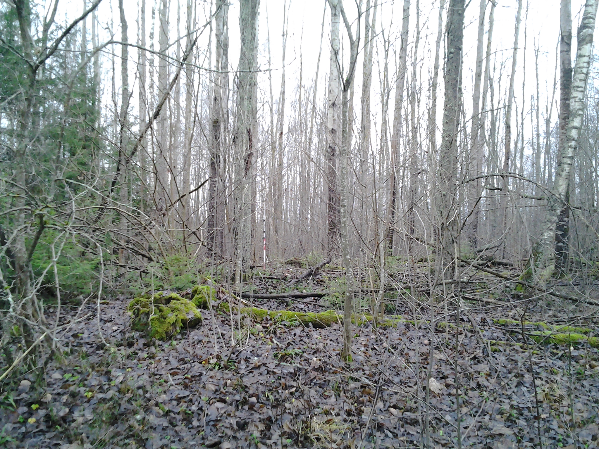 Apkārtnes foto