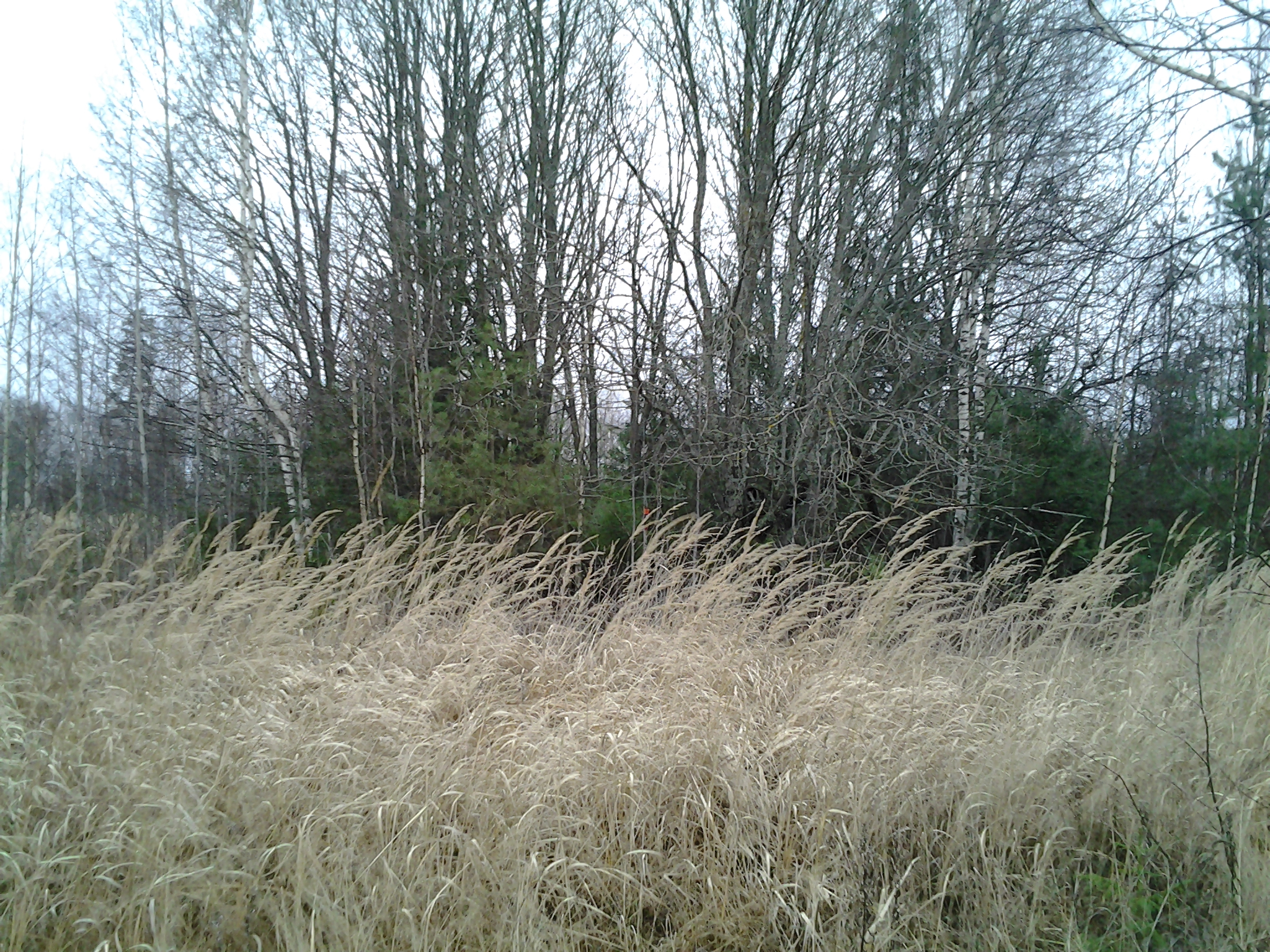 Apkārtnes foto