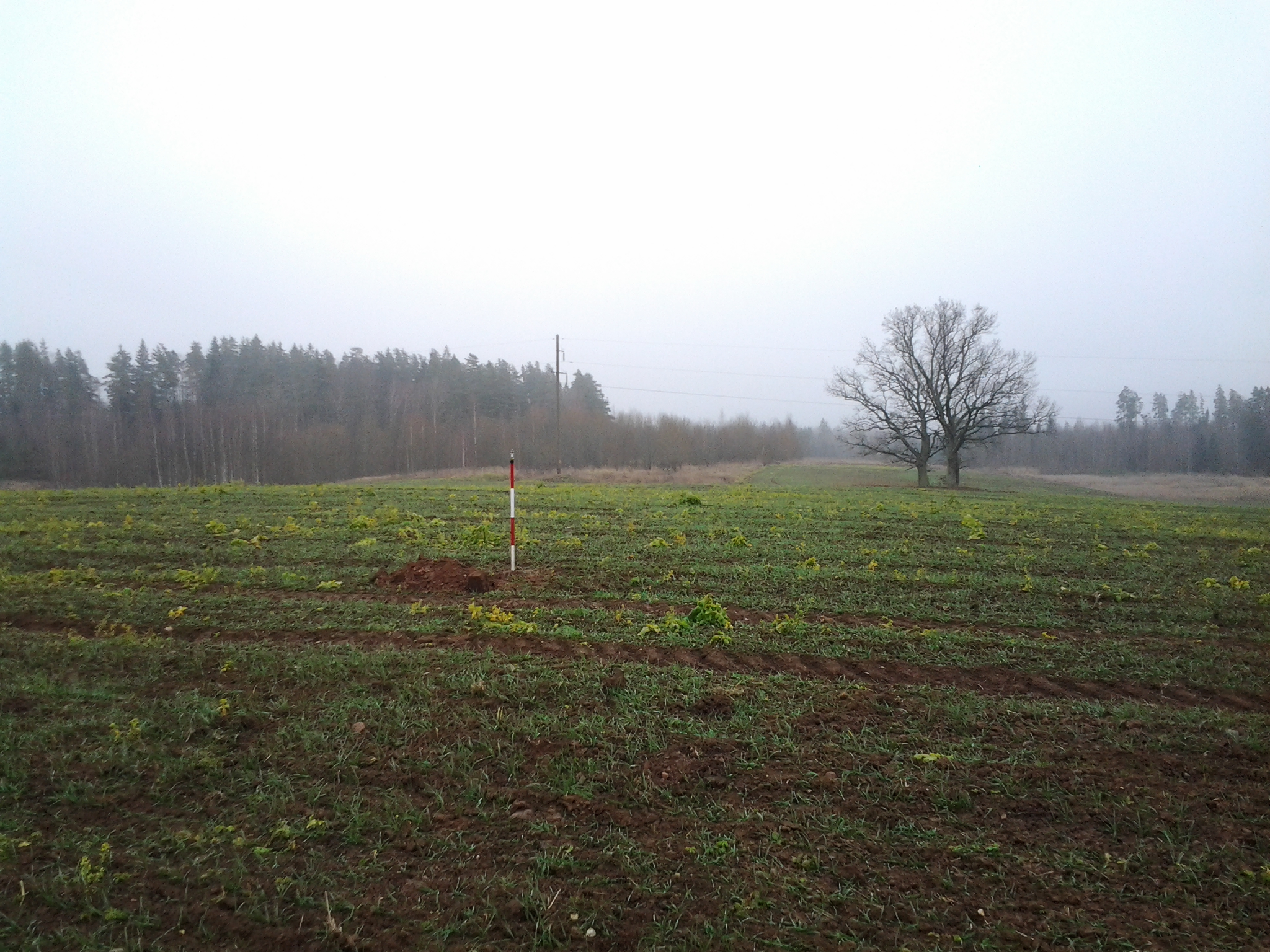 Apkārtnes foto