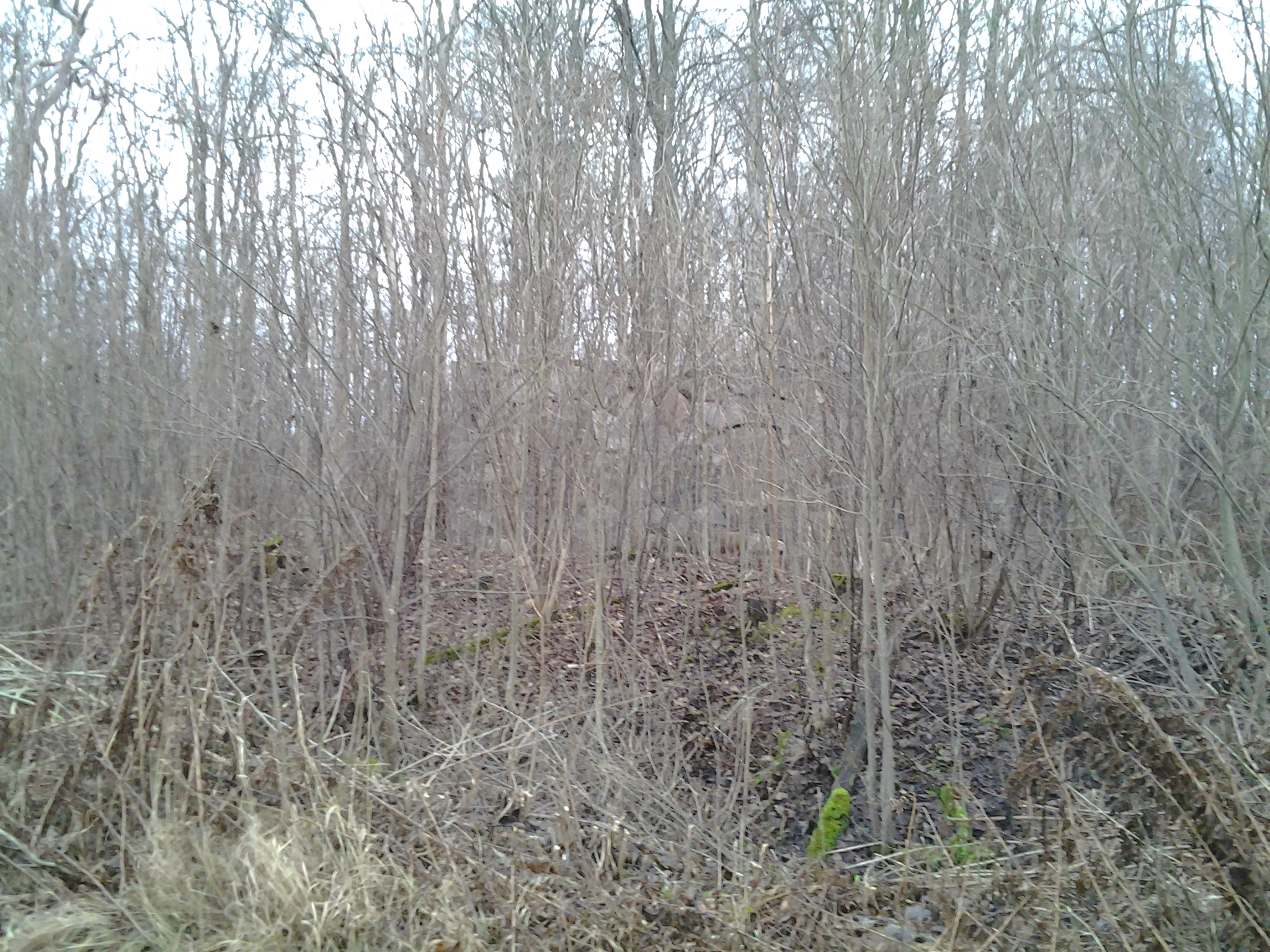 Apkārtnes foto