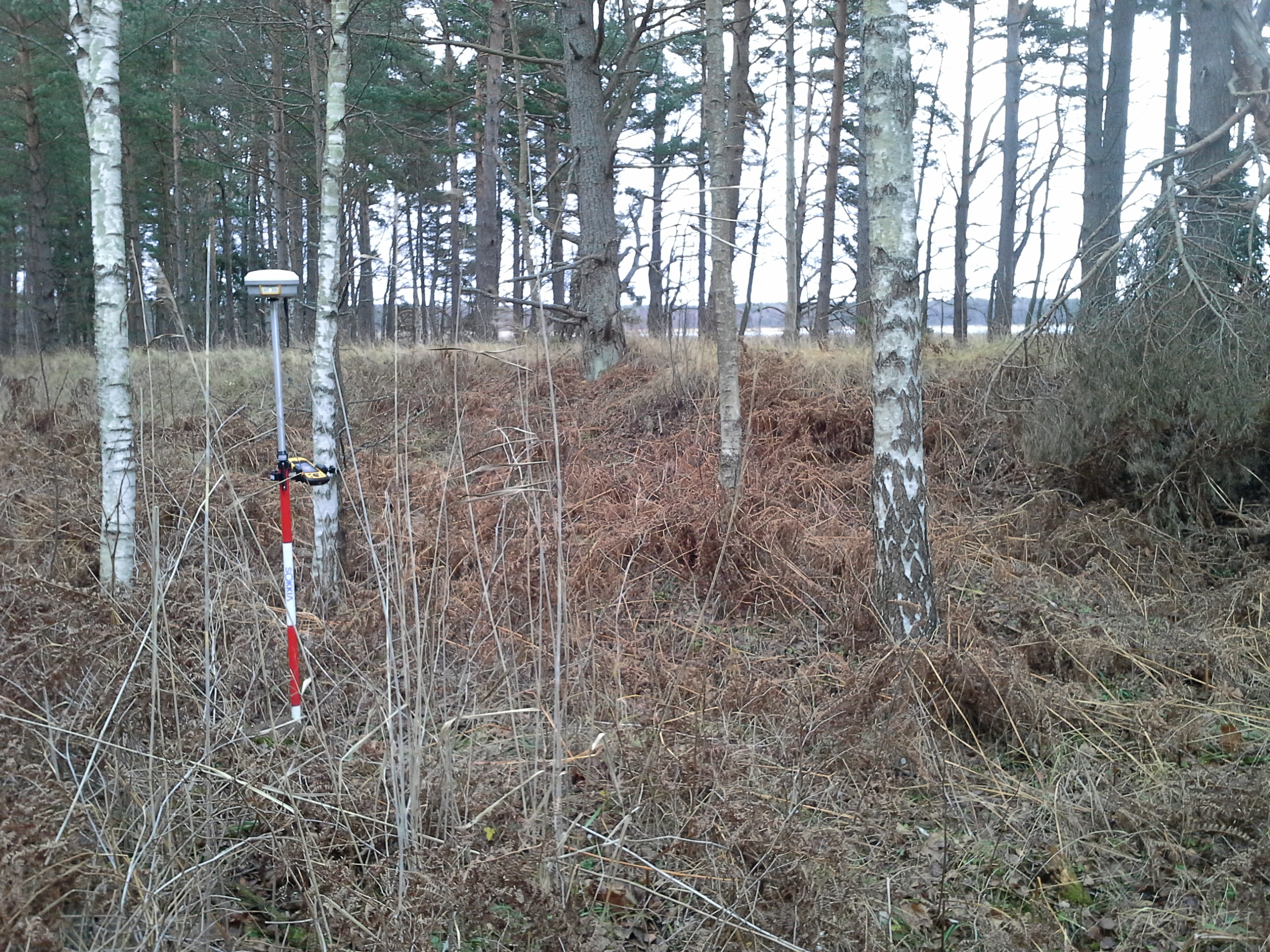 Apkārtnes foto