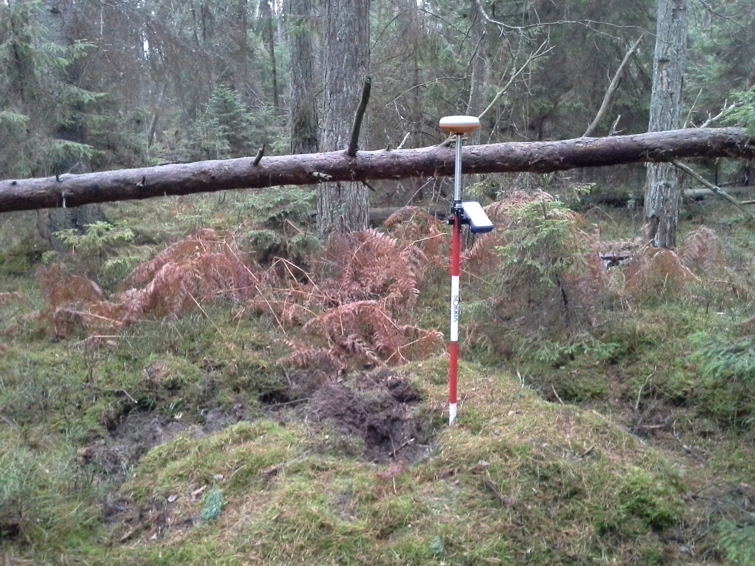Apkārtnes foto