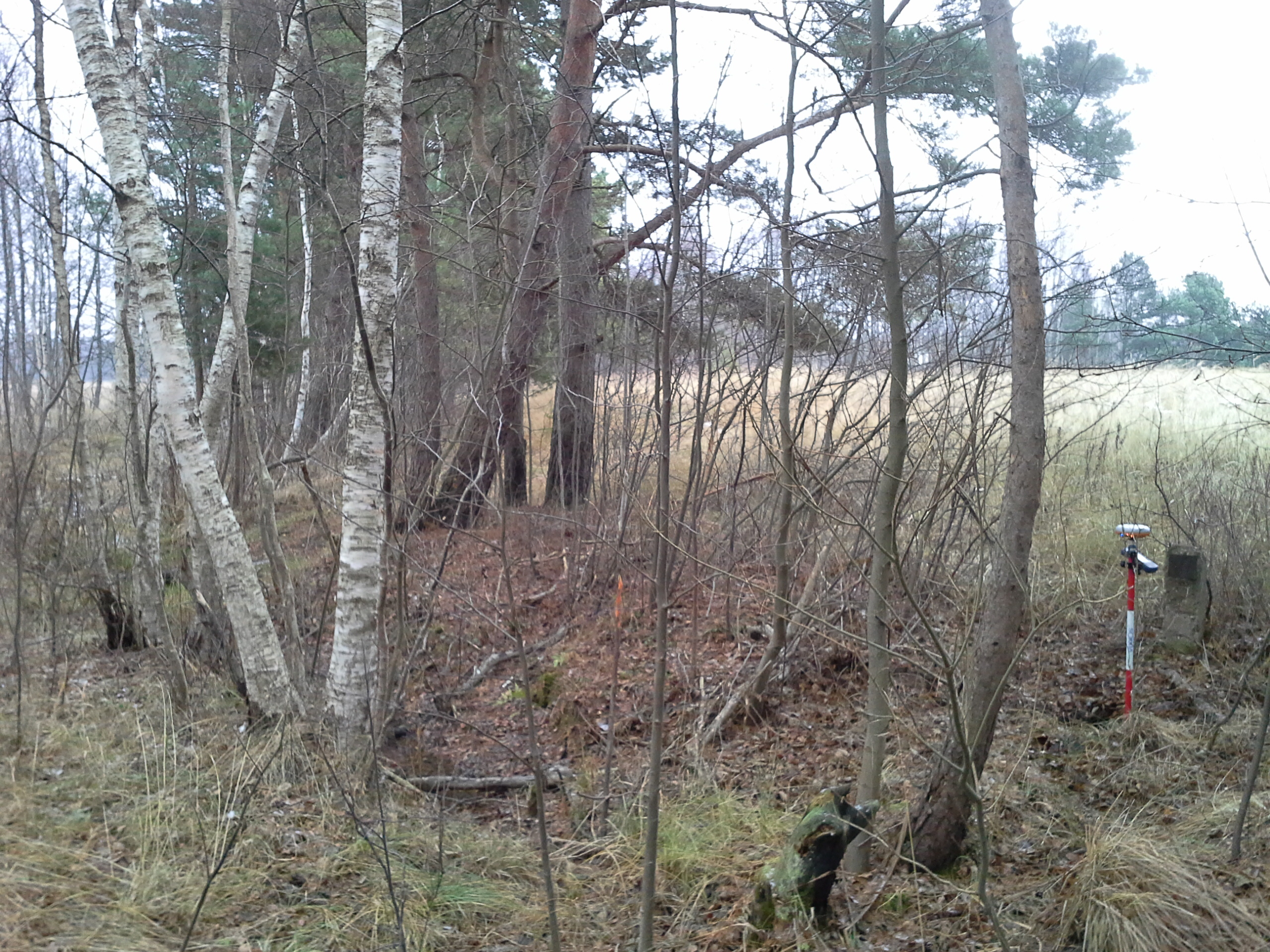 Apkārtnes foto