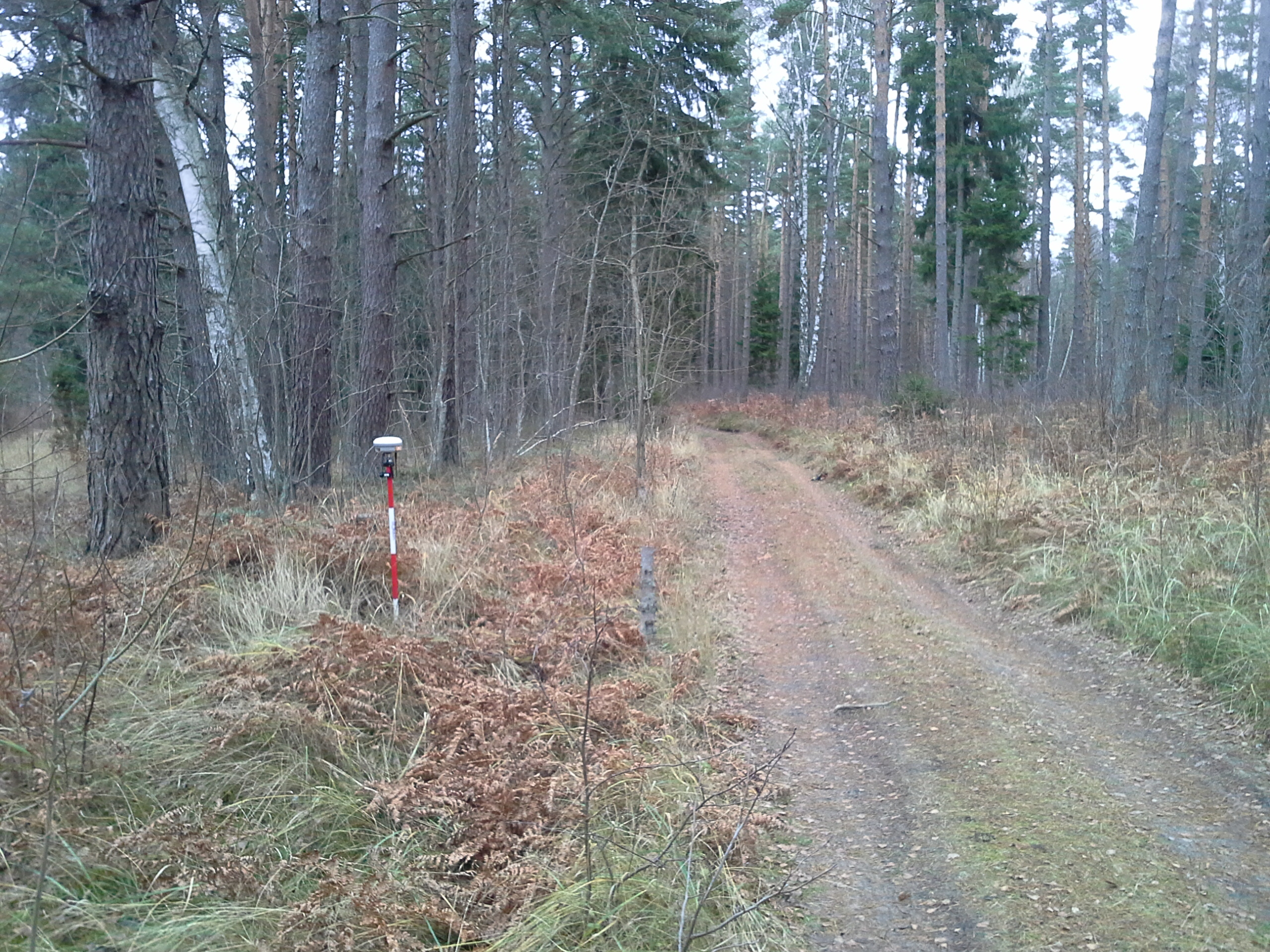 Apkārtnes foto