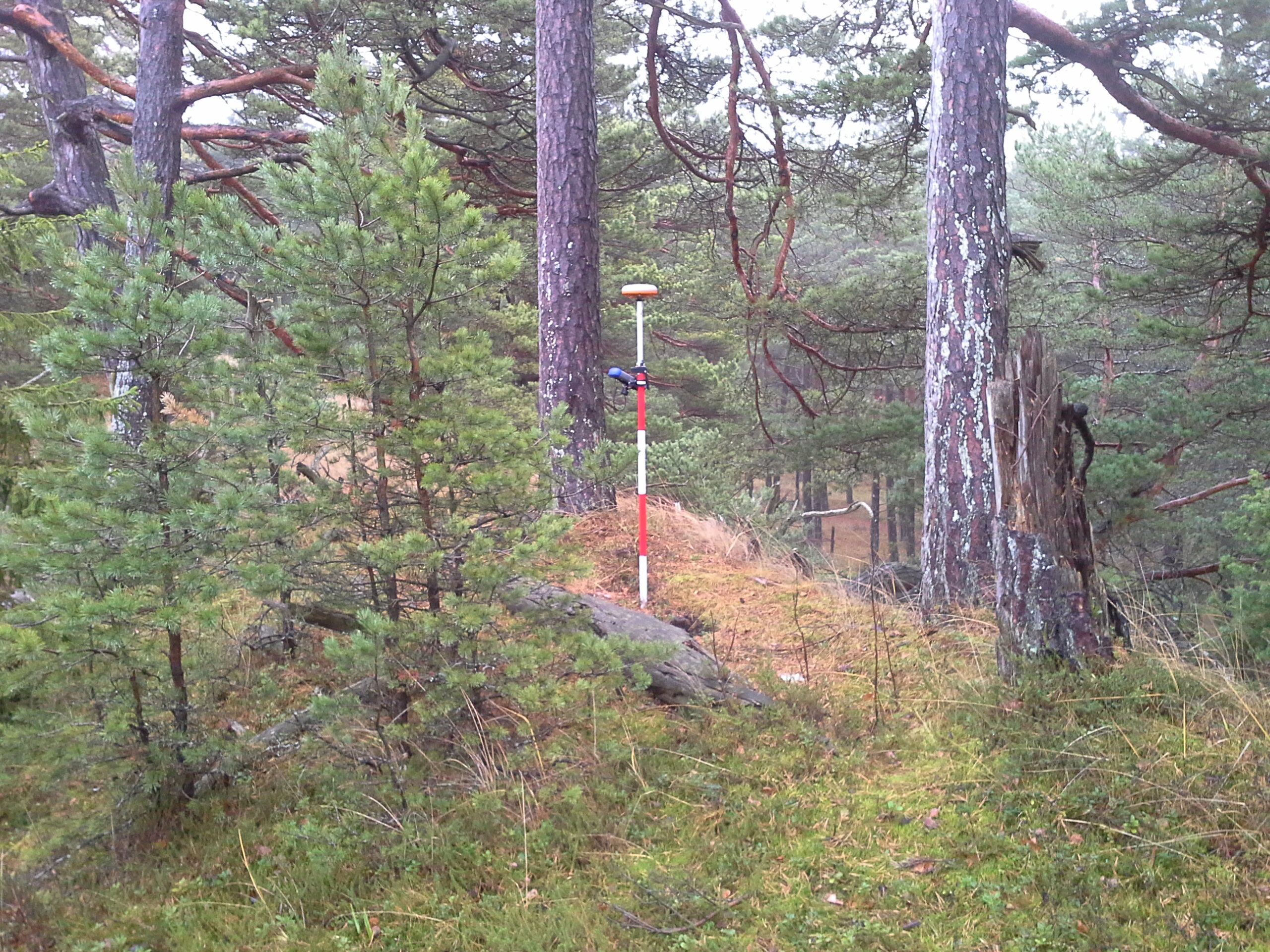 Apkārtnes foto