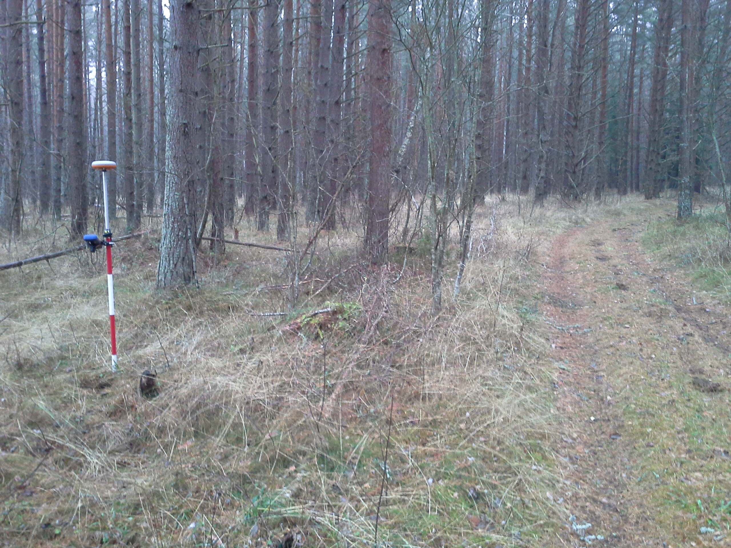 Apkārtnes foto