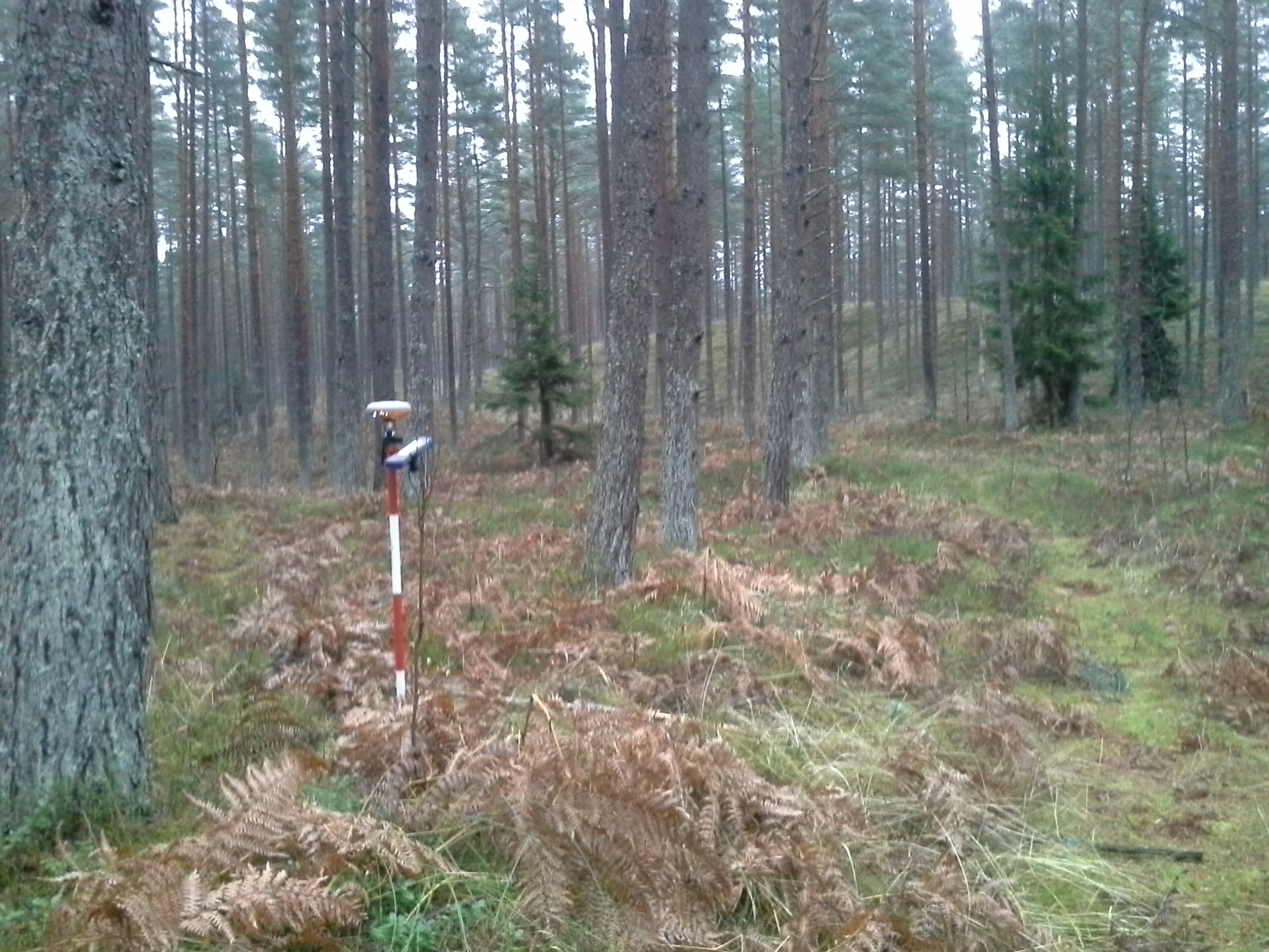 Apkārtnes foto