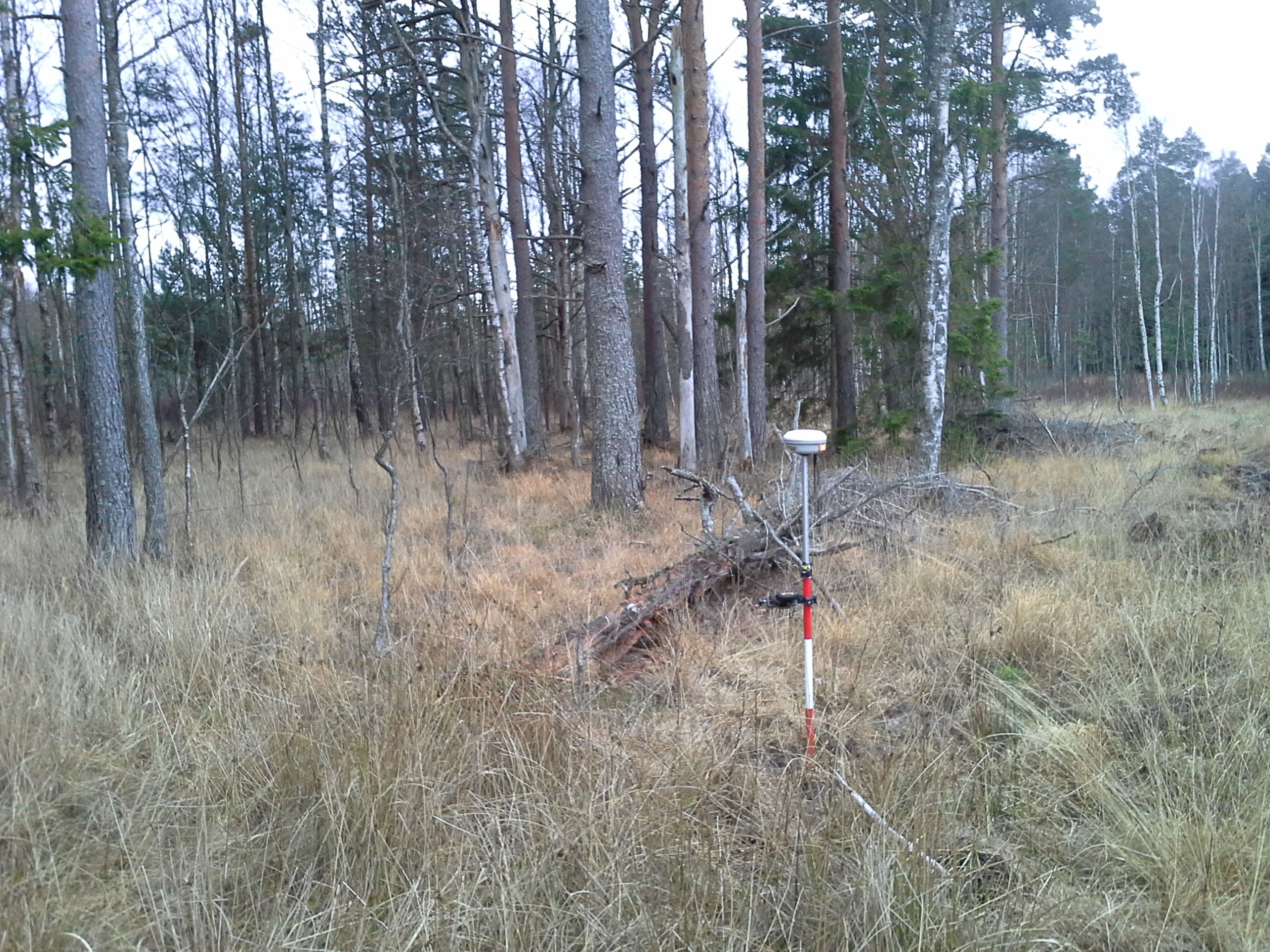 Apkārtnes foto