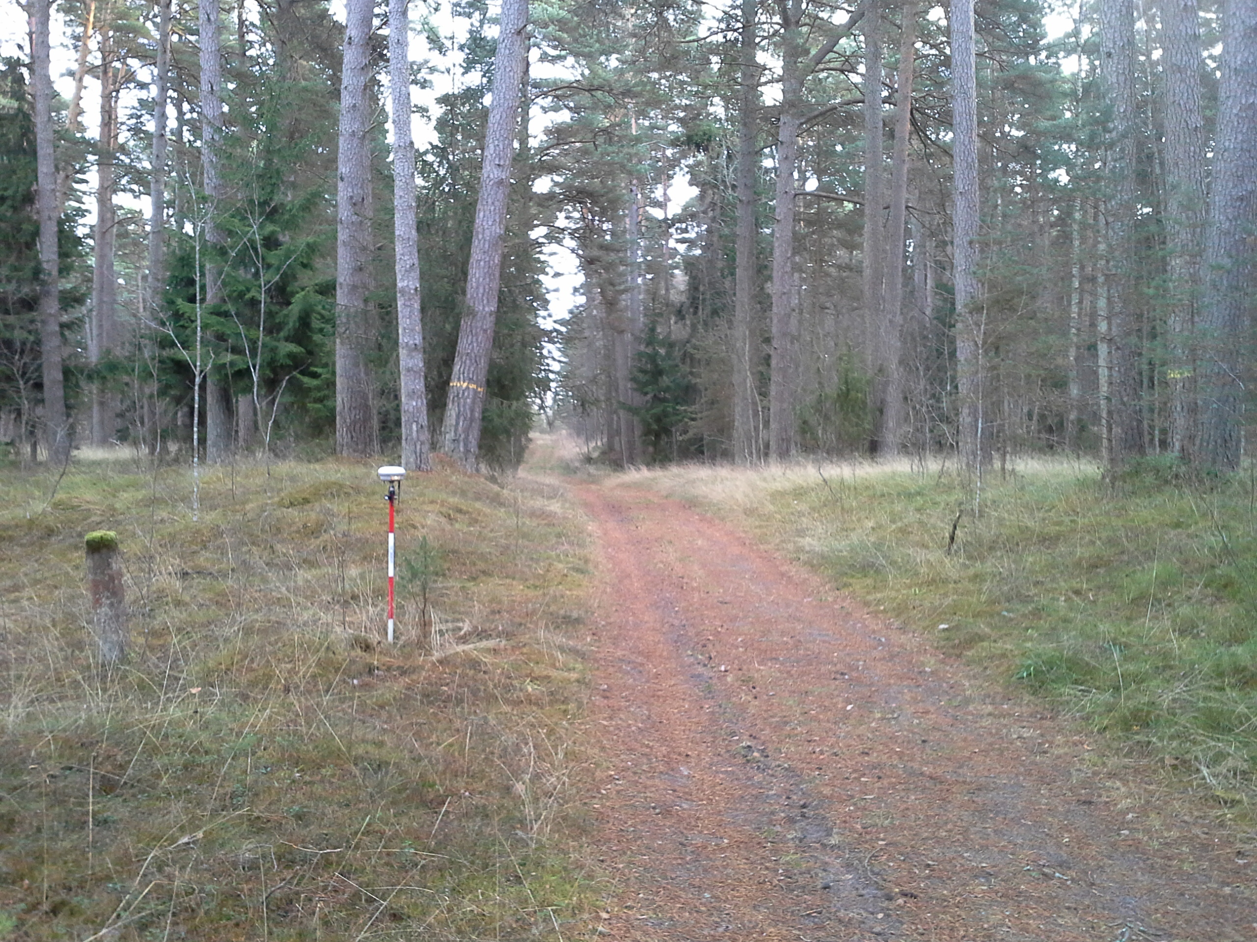 Apkārtnes foto