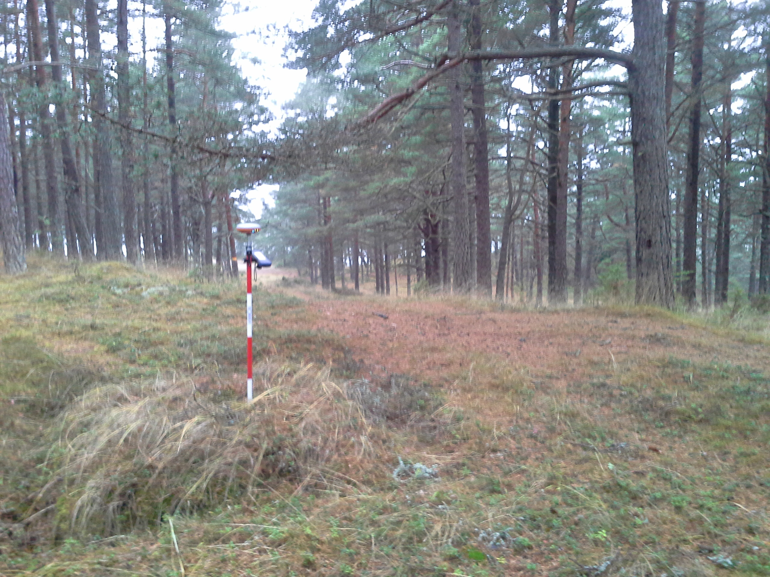 Apkārtnes foto