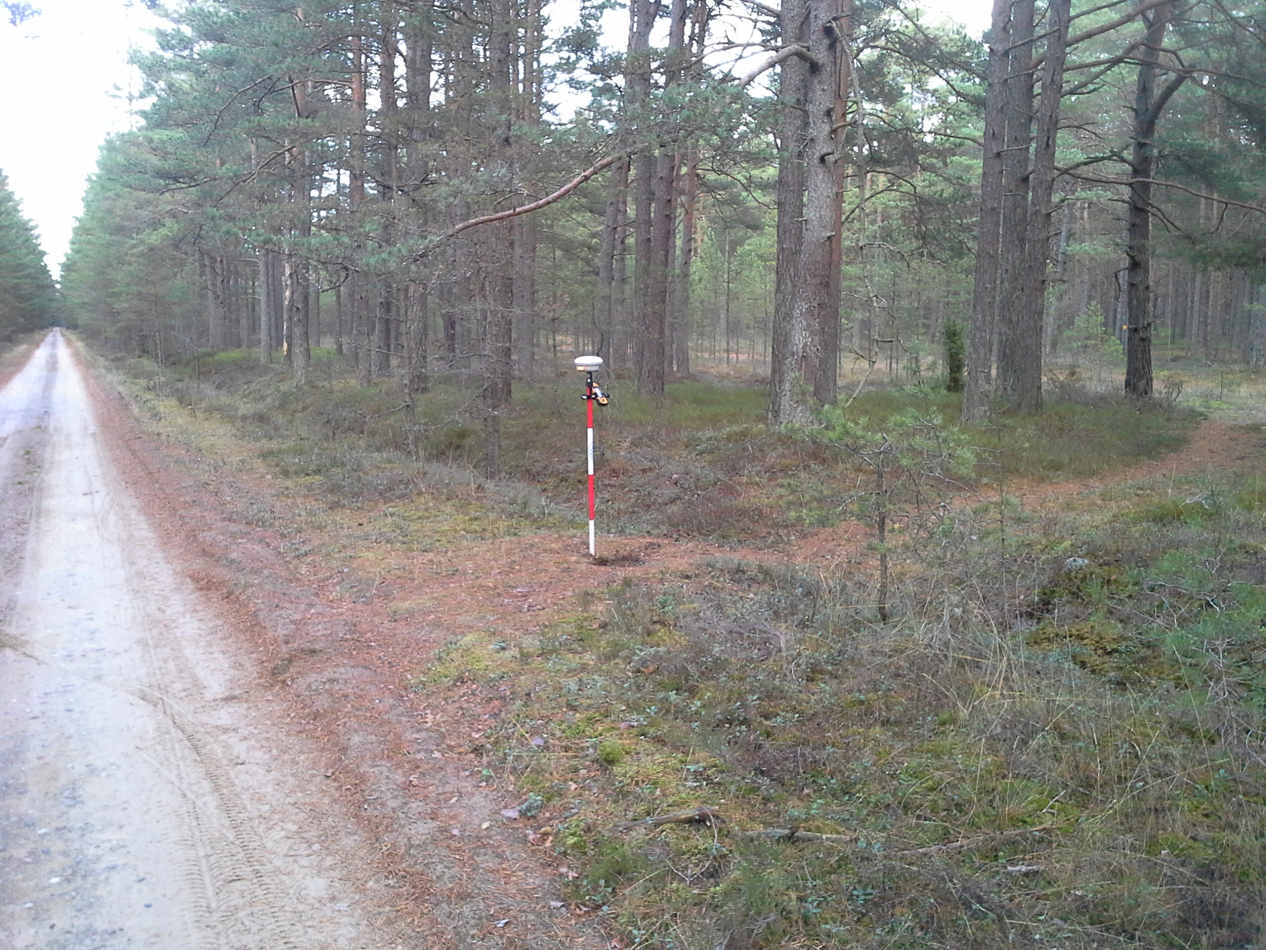 Apkārtnes foto