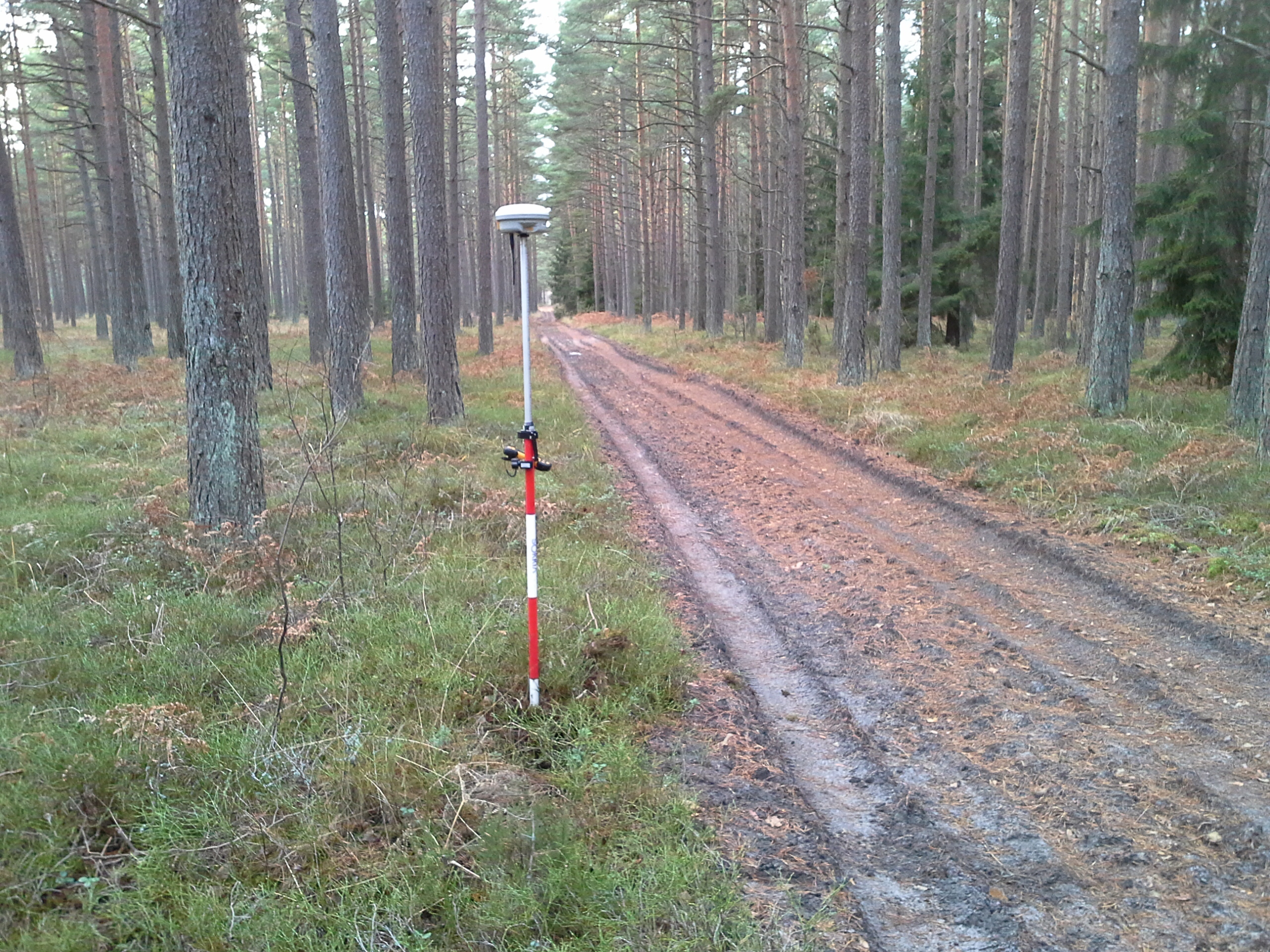 Apkārtnes foto