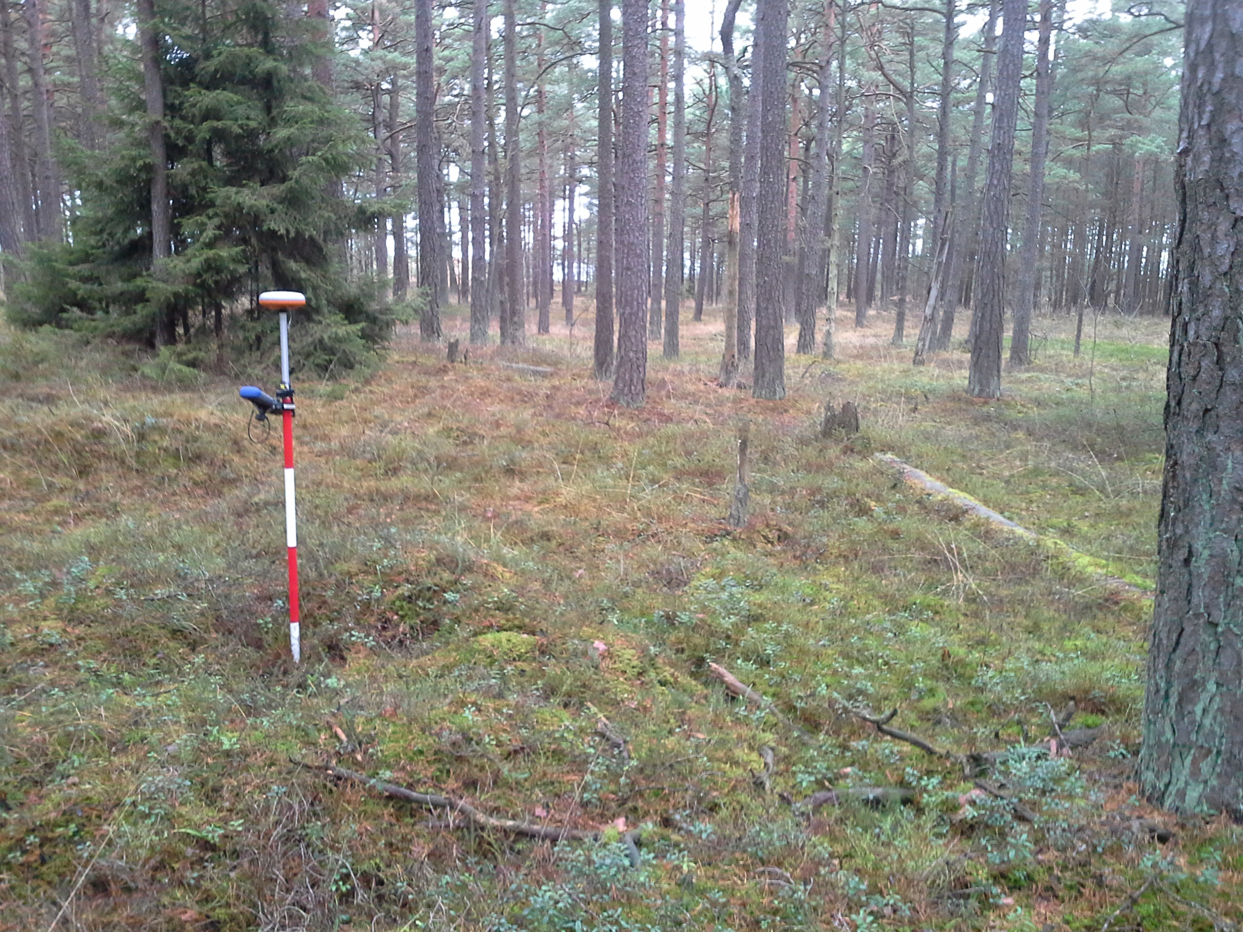 Apkārtnes foto