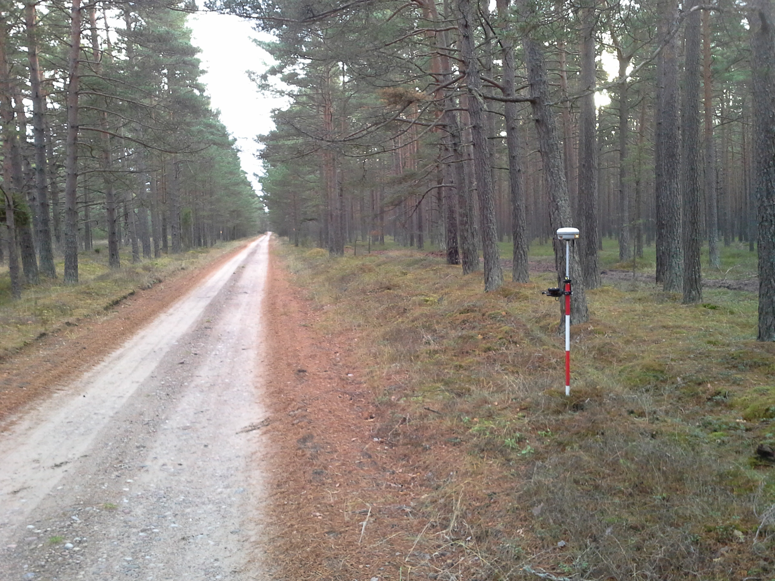Apkārtnes foto