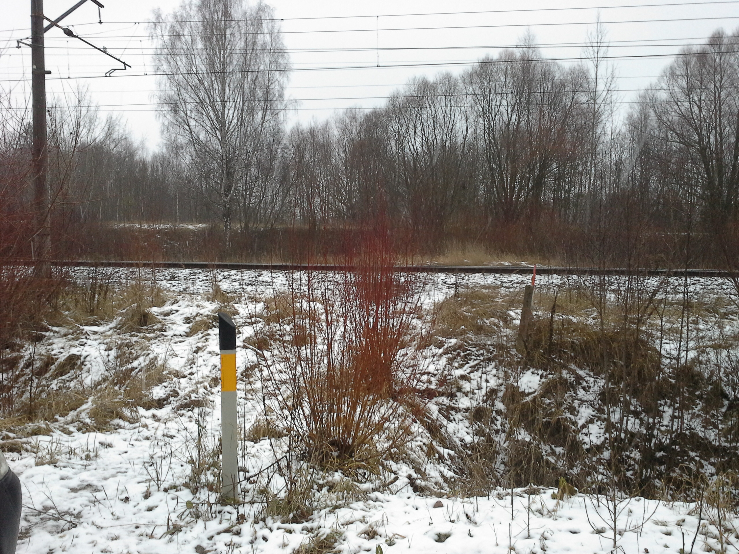 Apkārtnes foto