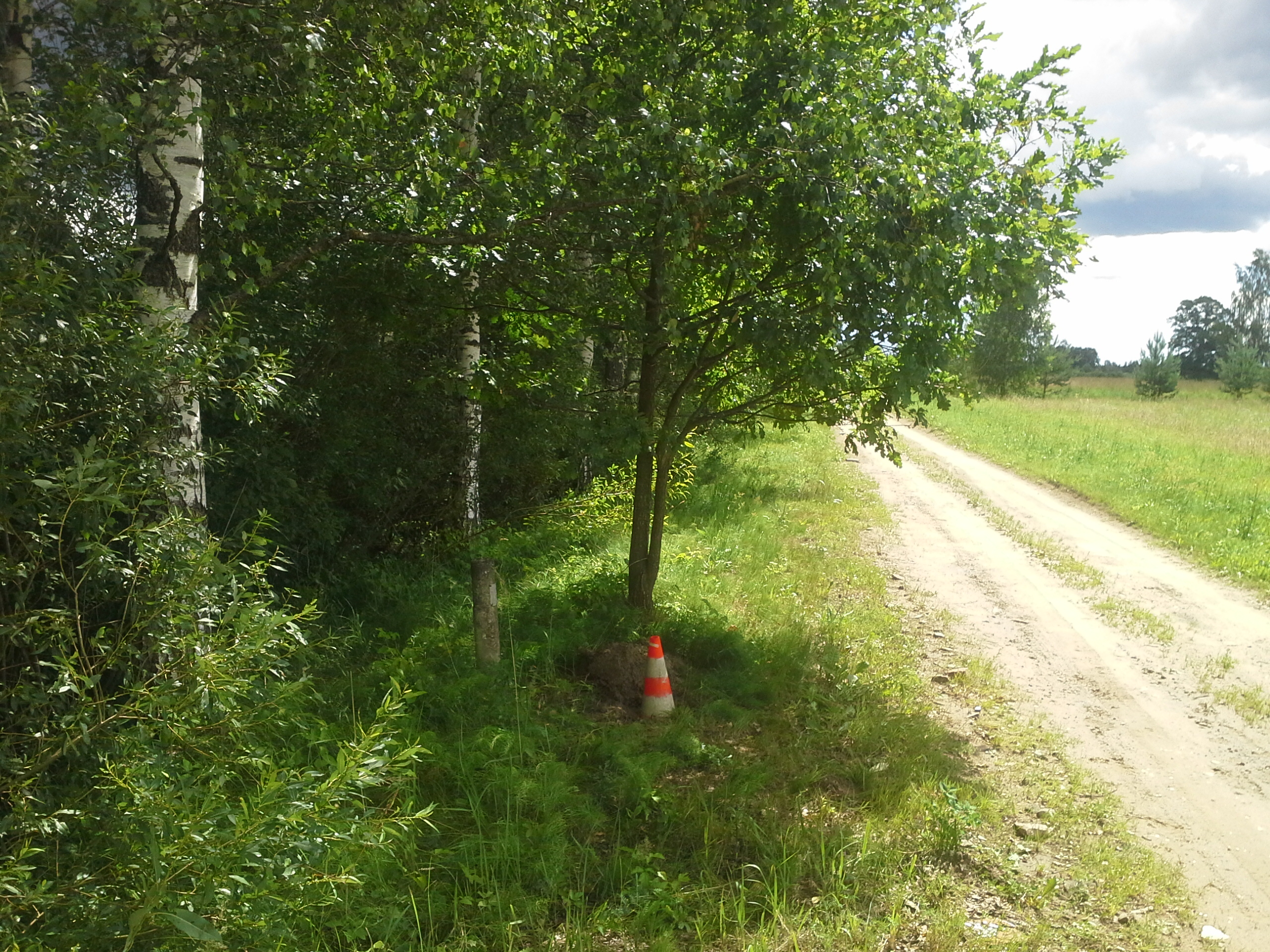 Apkārtnes foto