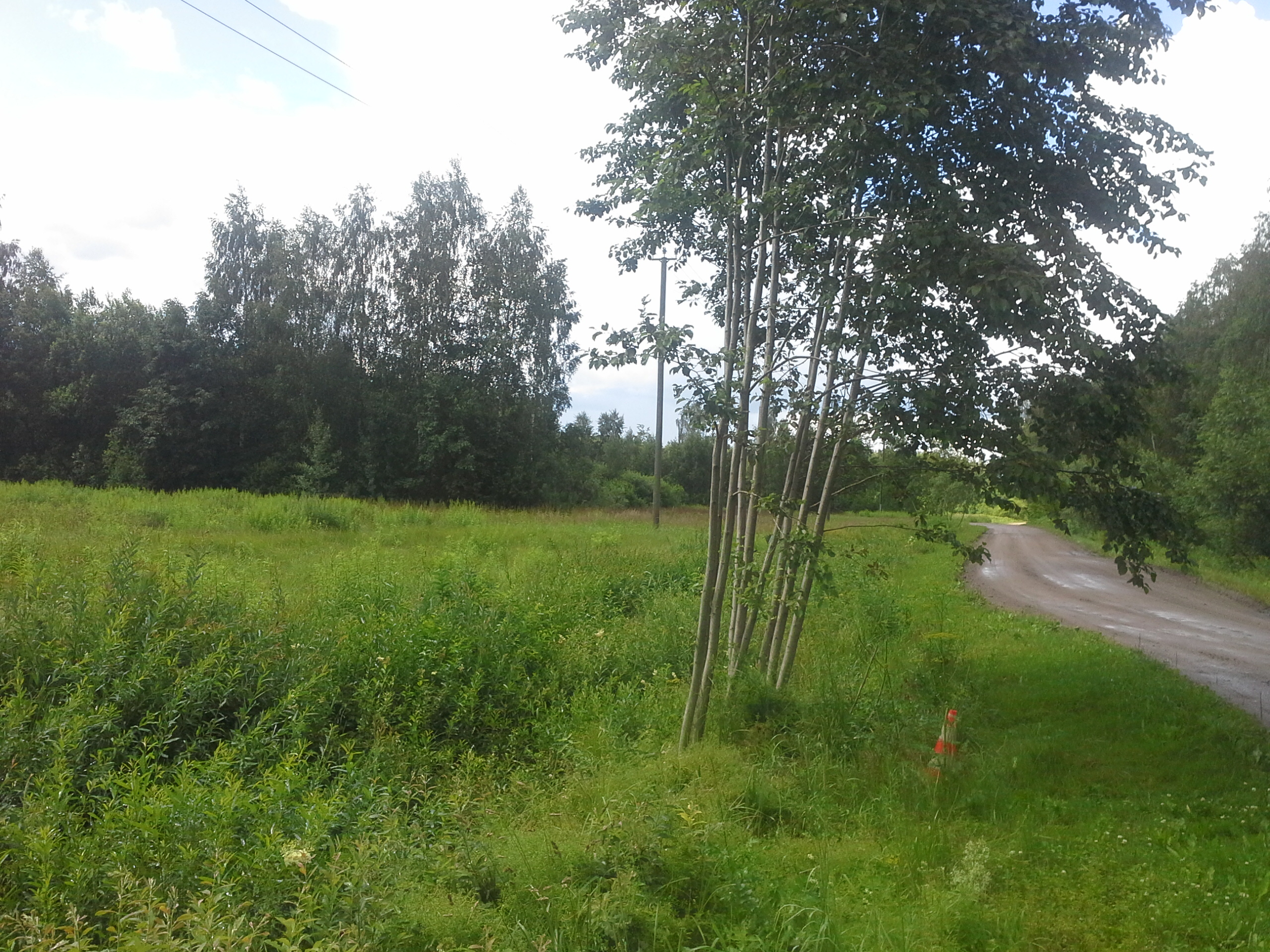 Apkārtnes foto