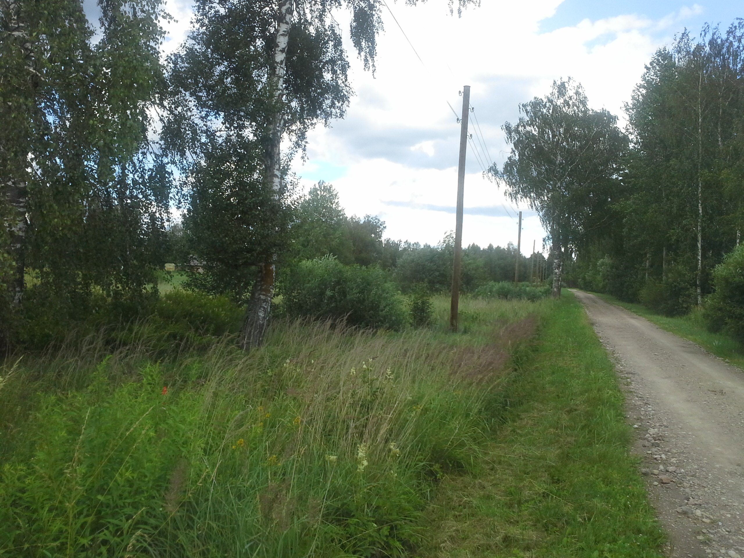 Apkārtnes foto