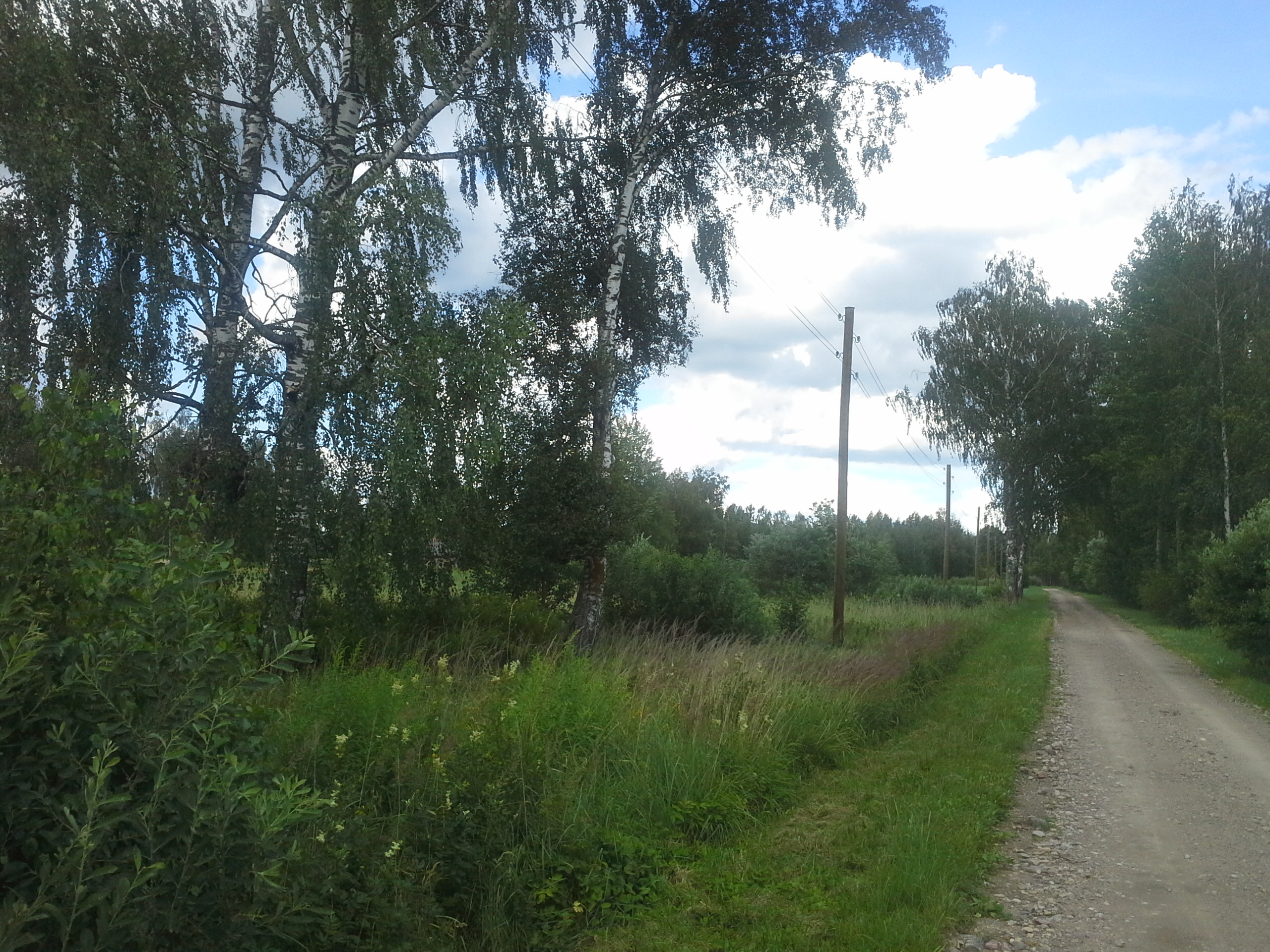 Apkārtnes foto