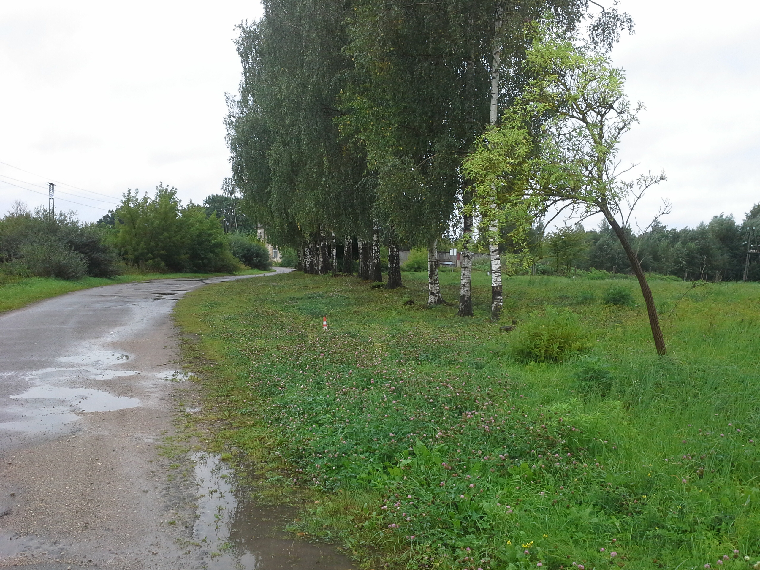 Apkārtnes foto