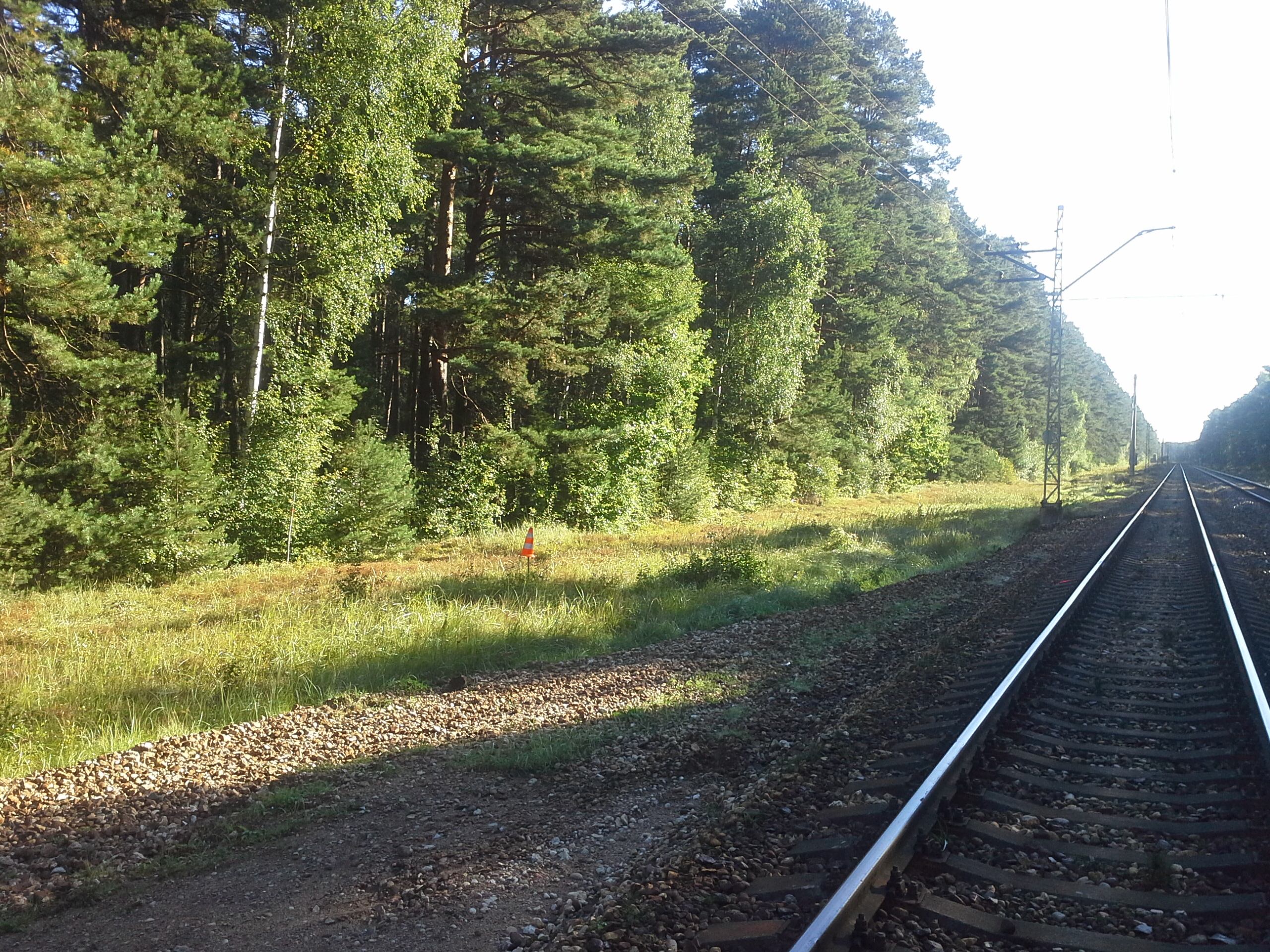 Apkārtnes foto