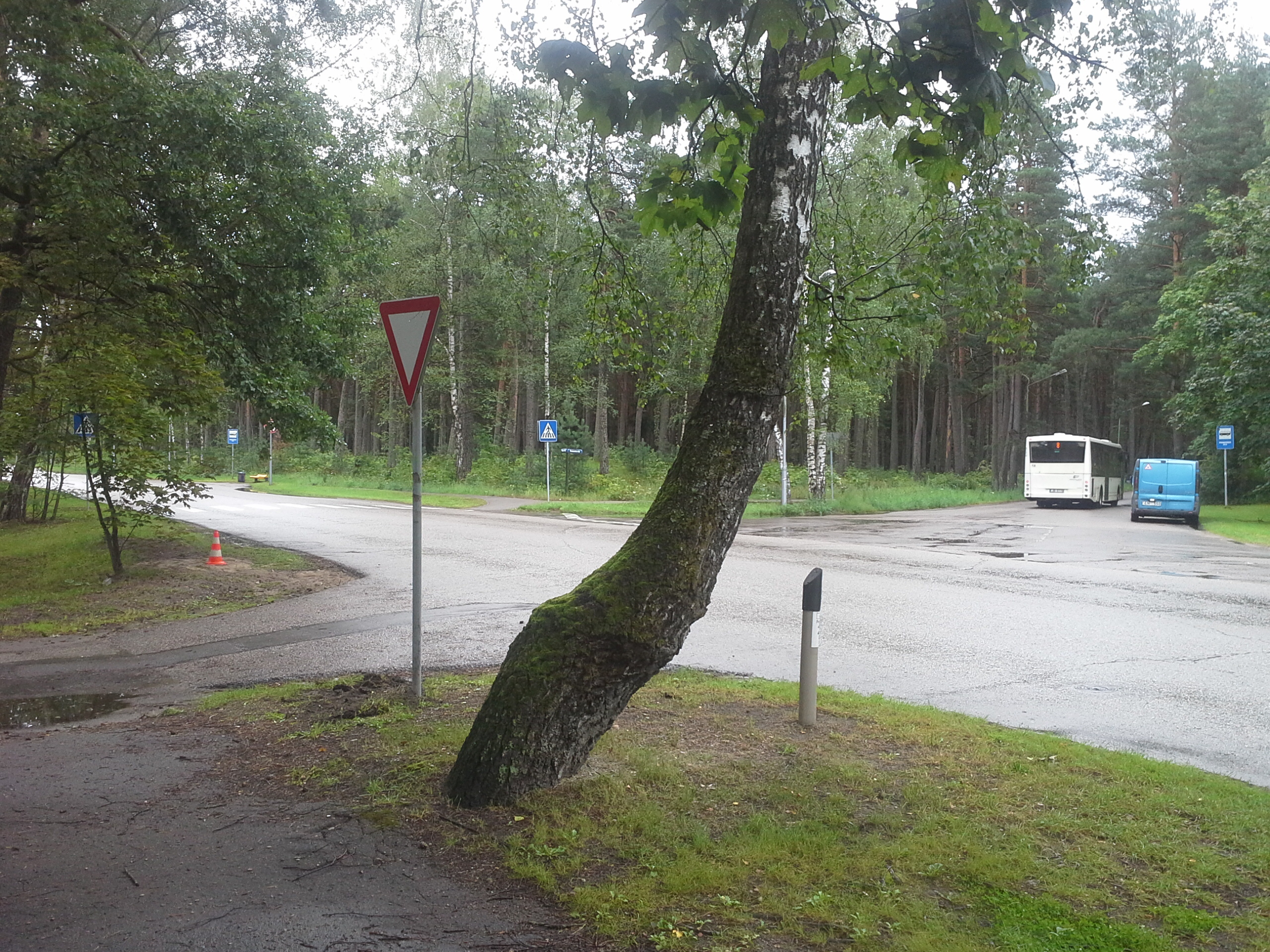 Apkārtnes foto