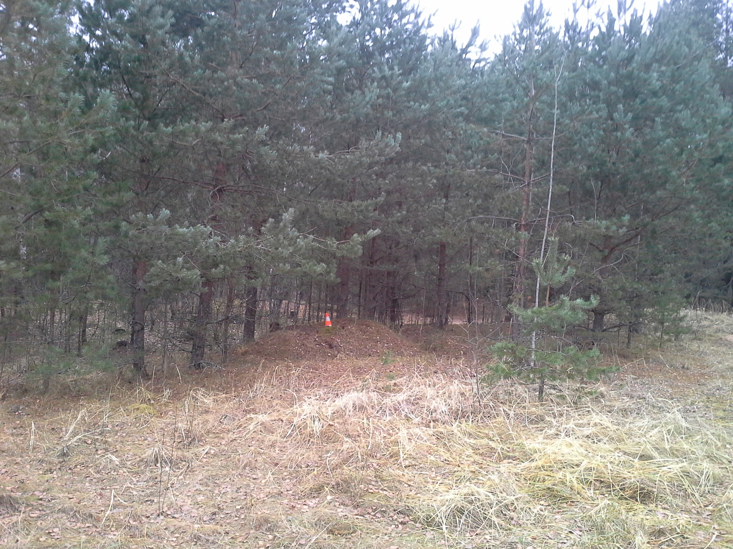 Apkārtnes foto