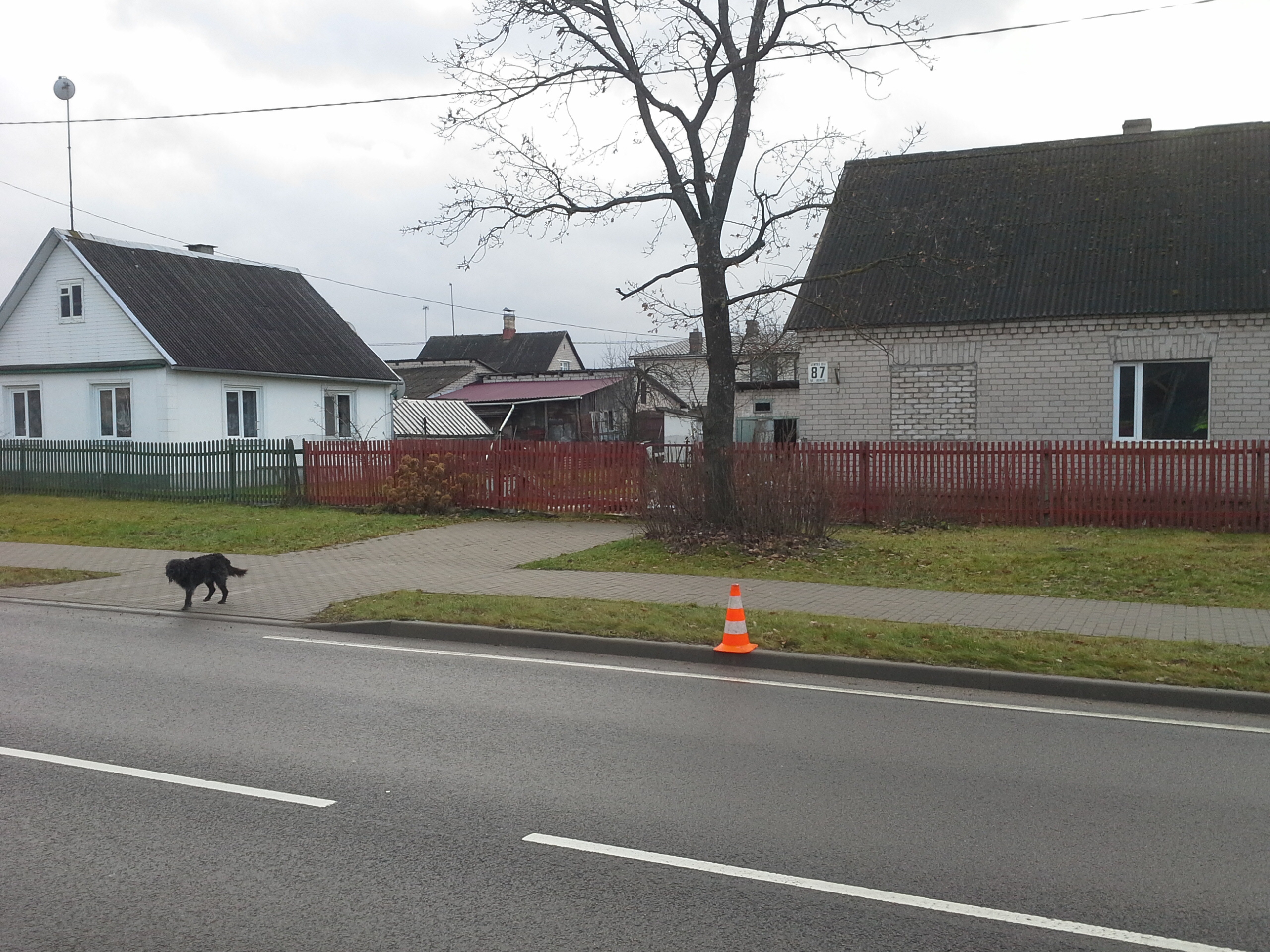 Apkārtnes foto
