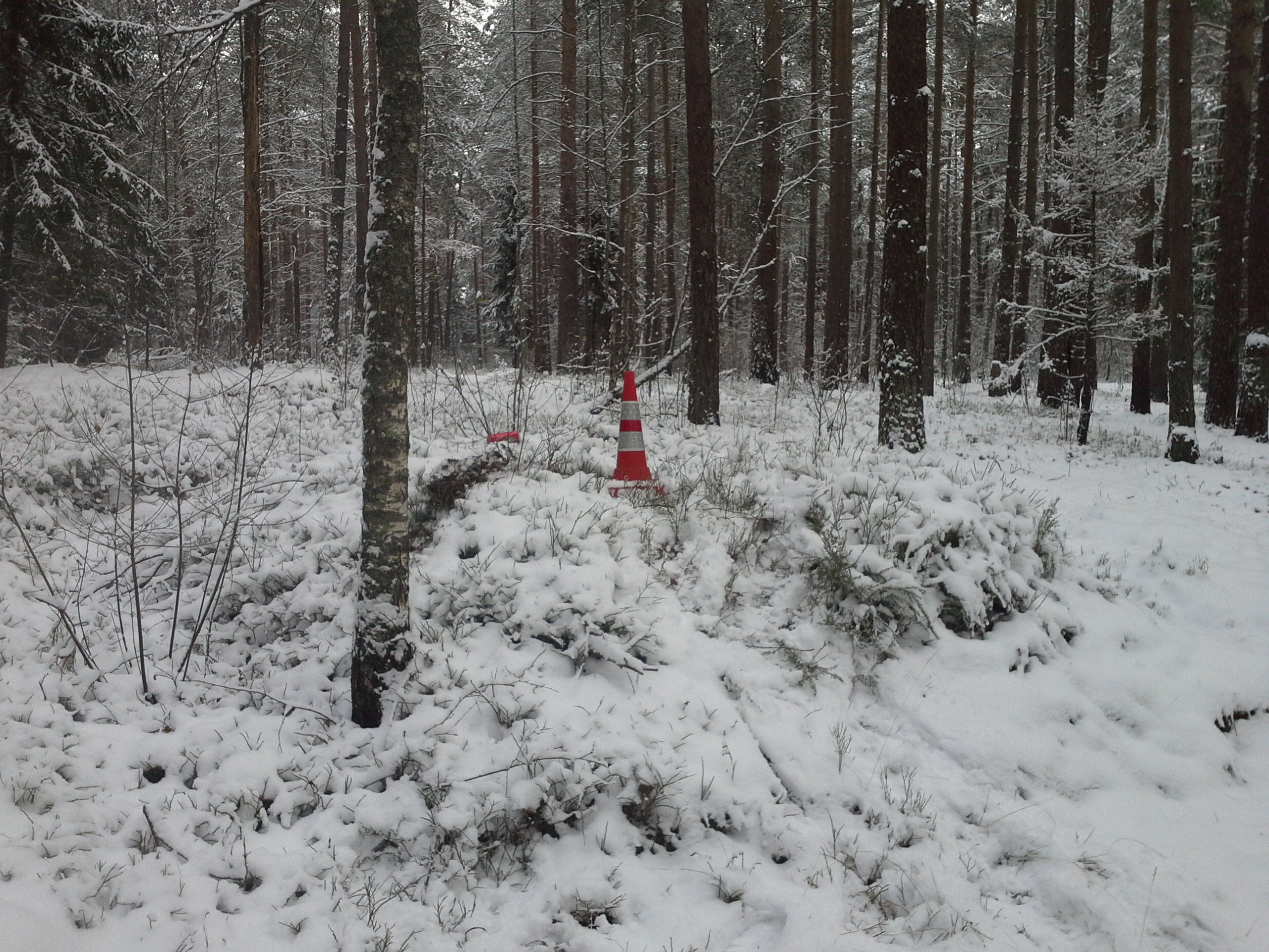 Apkārtnes foto