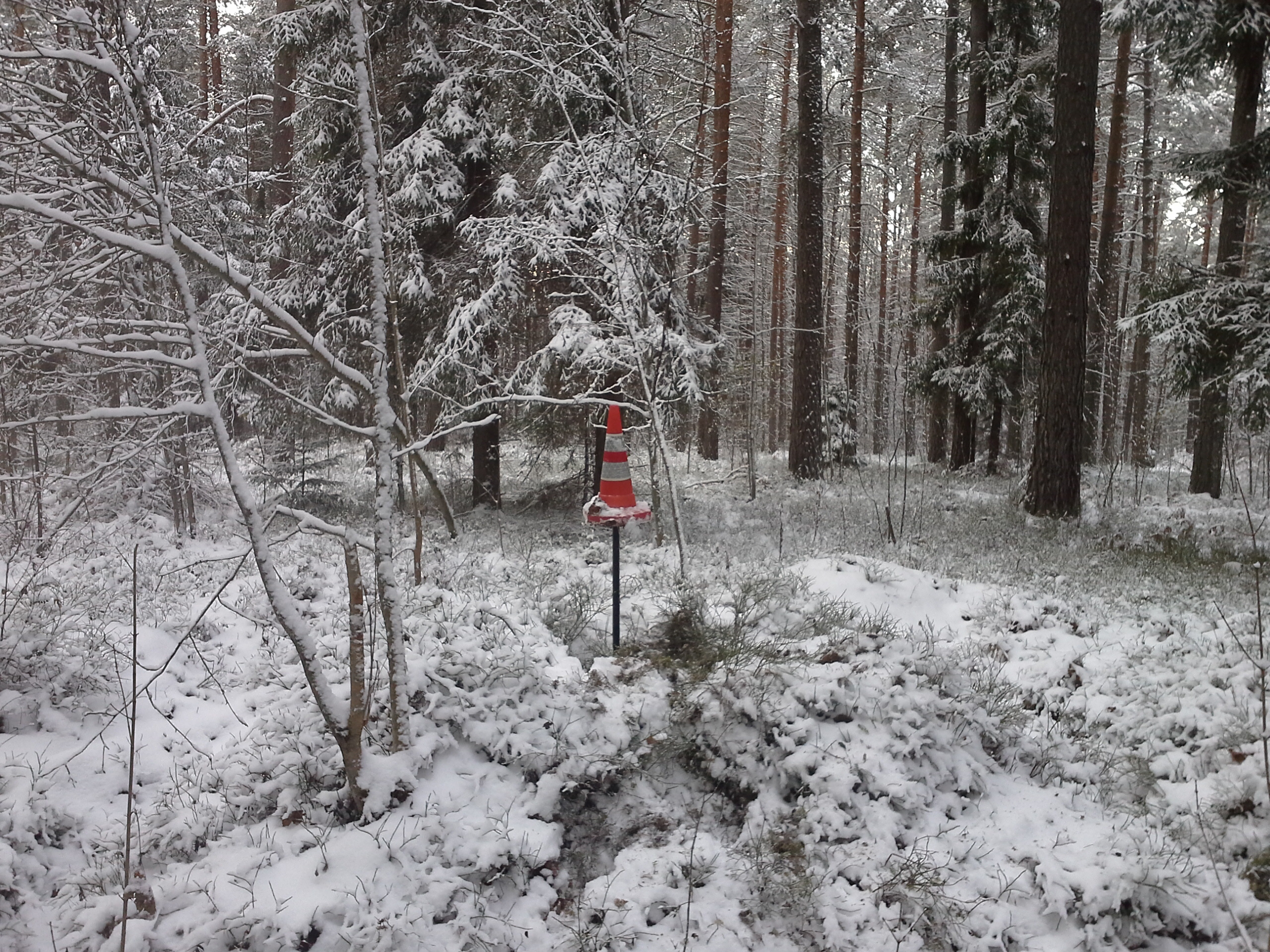 Apkārtnes foto