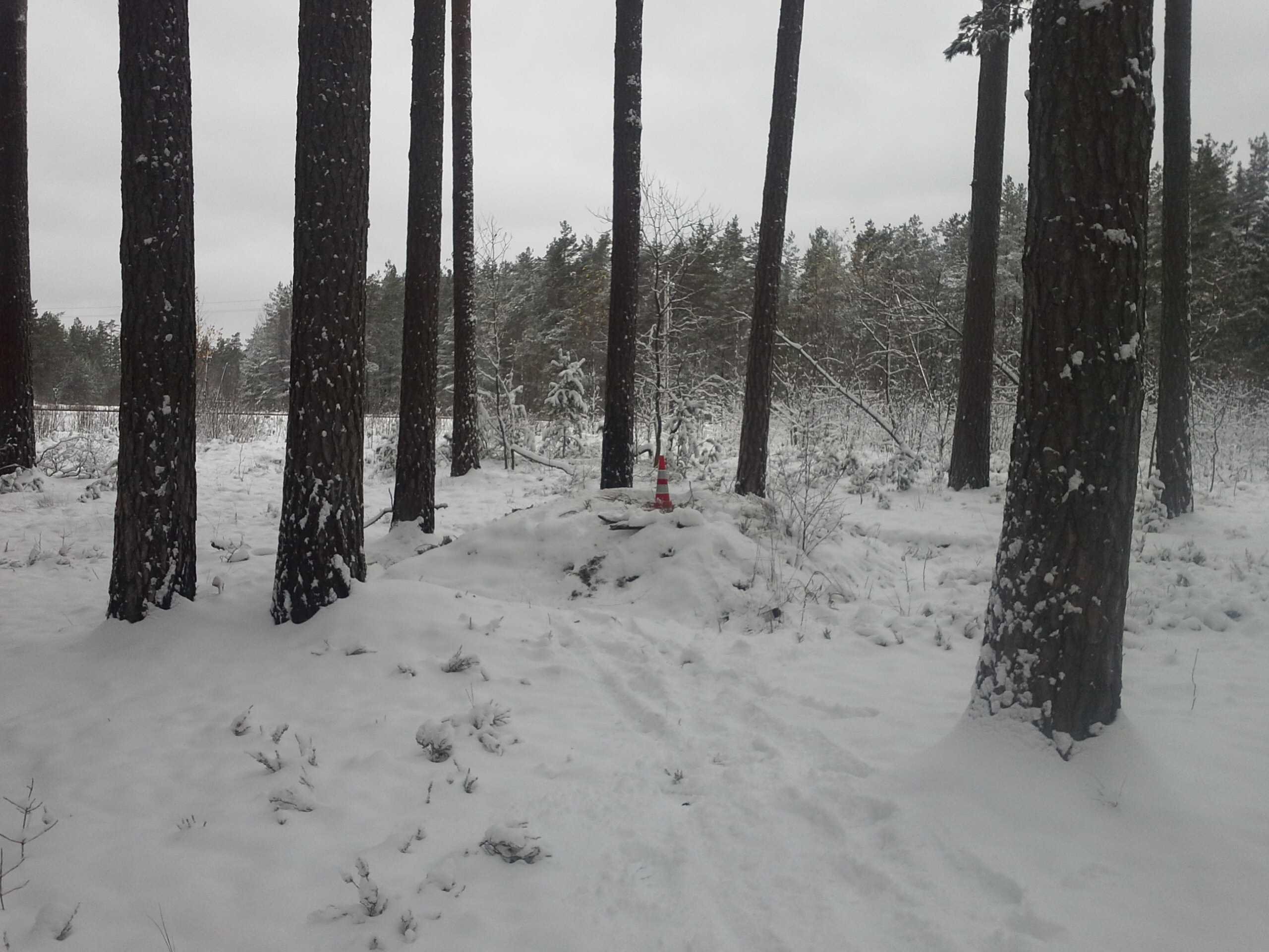 Apkārtnes foto